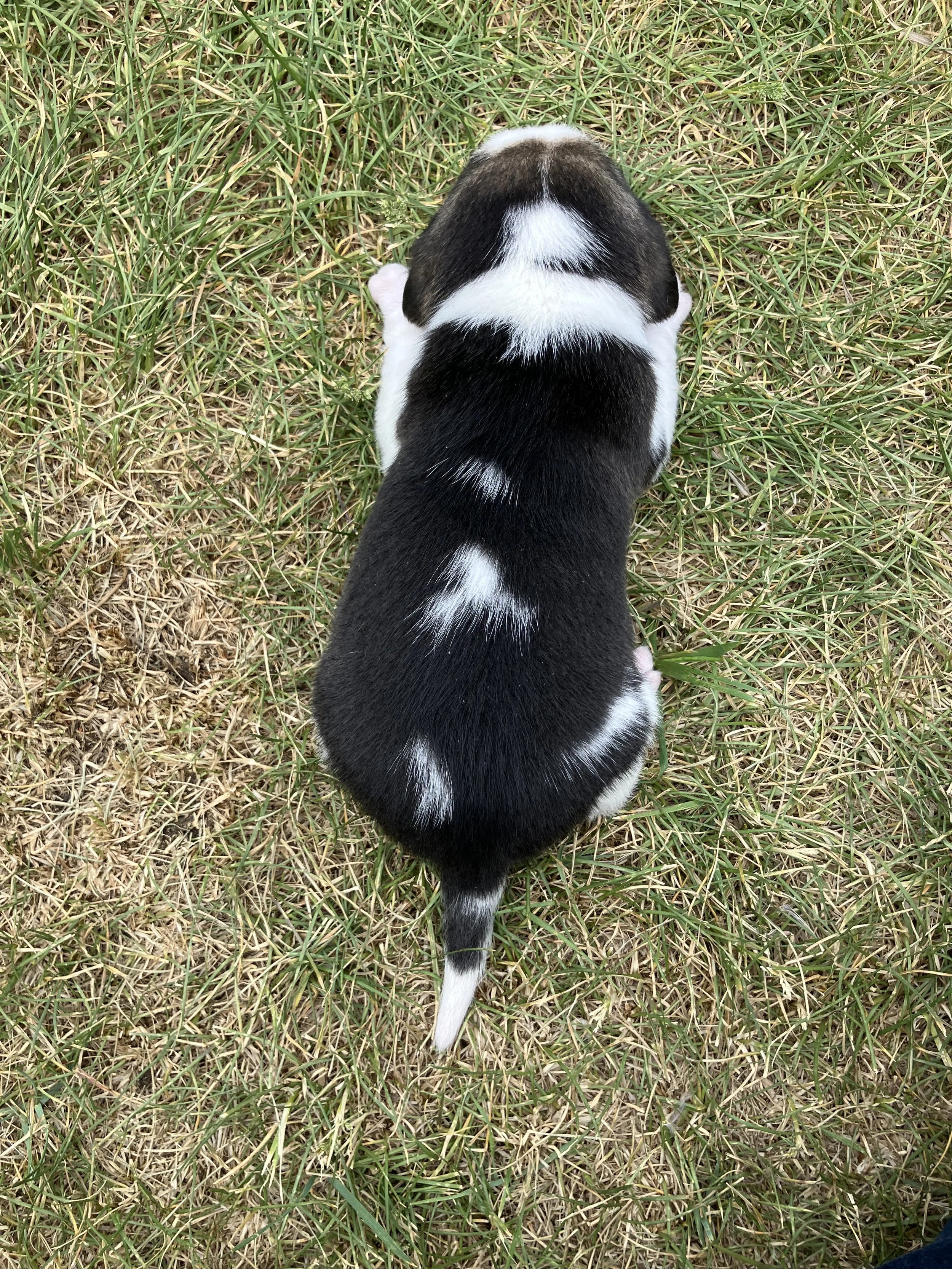 IMG_1666.JPEG