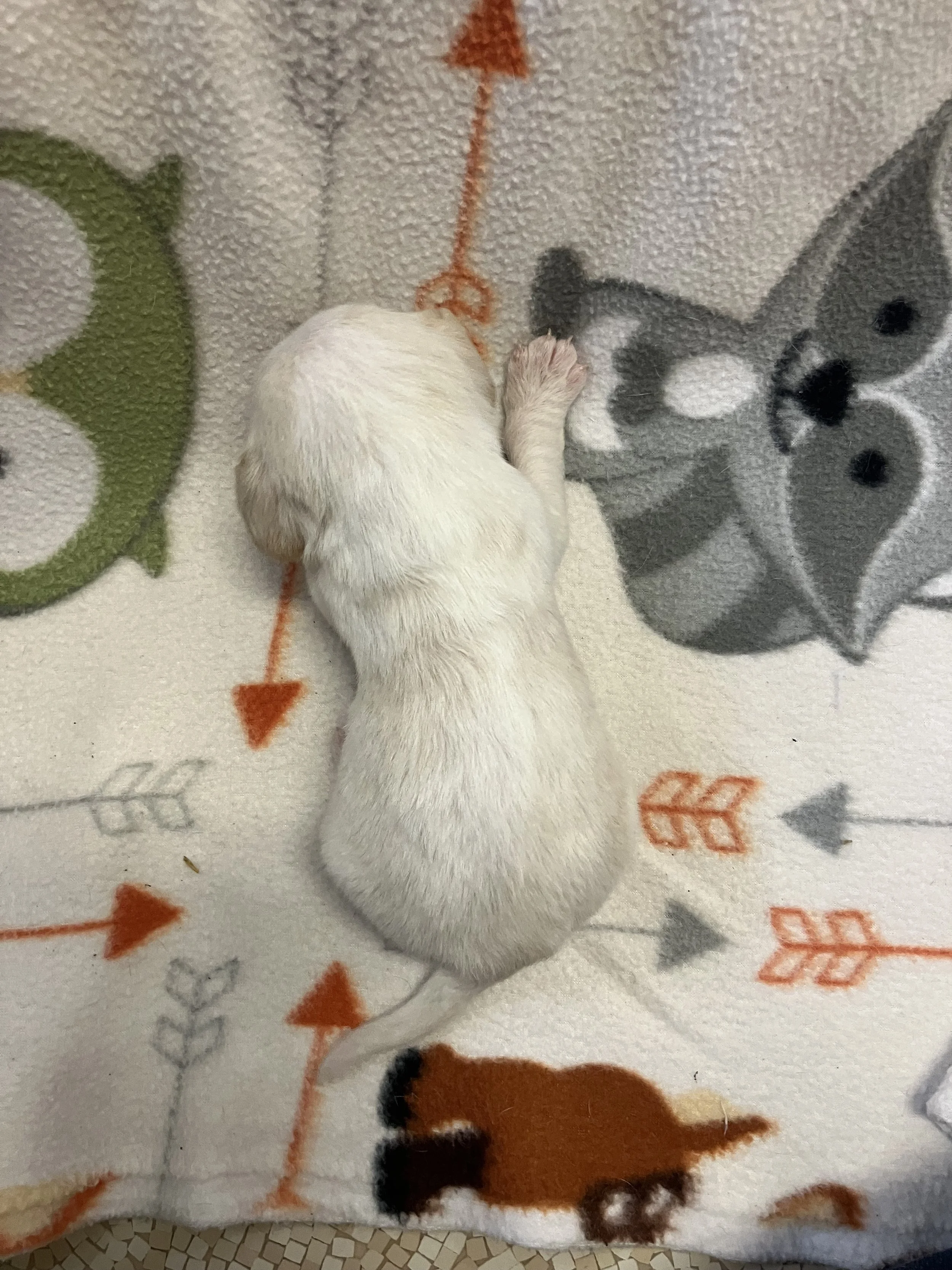 IMG_2321(1).JPEG