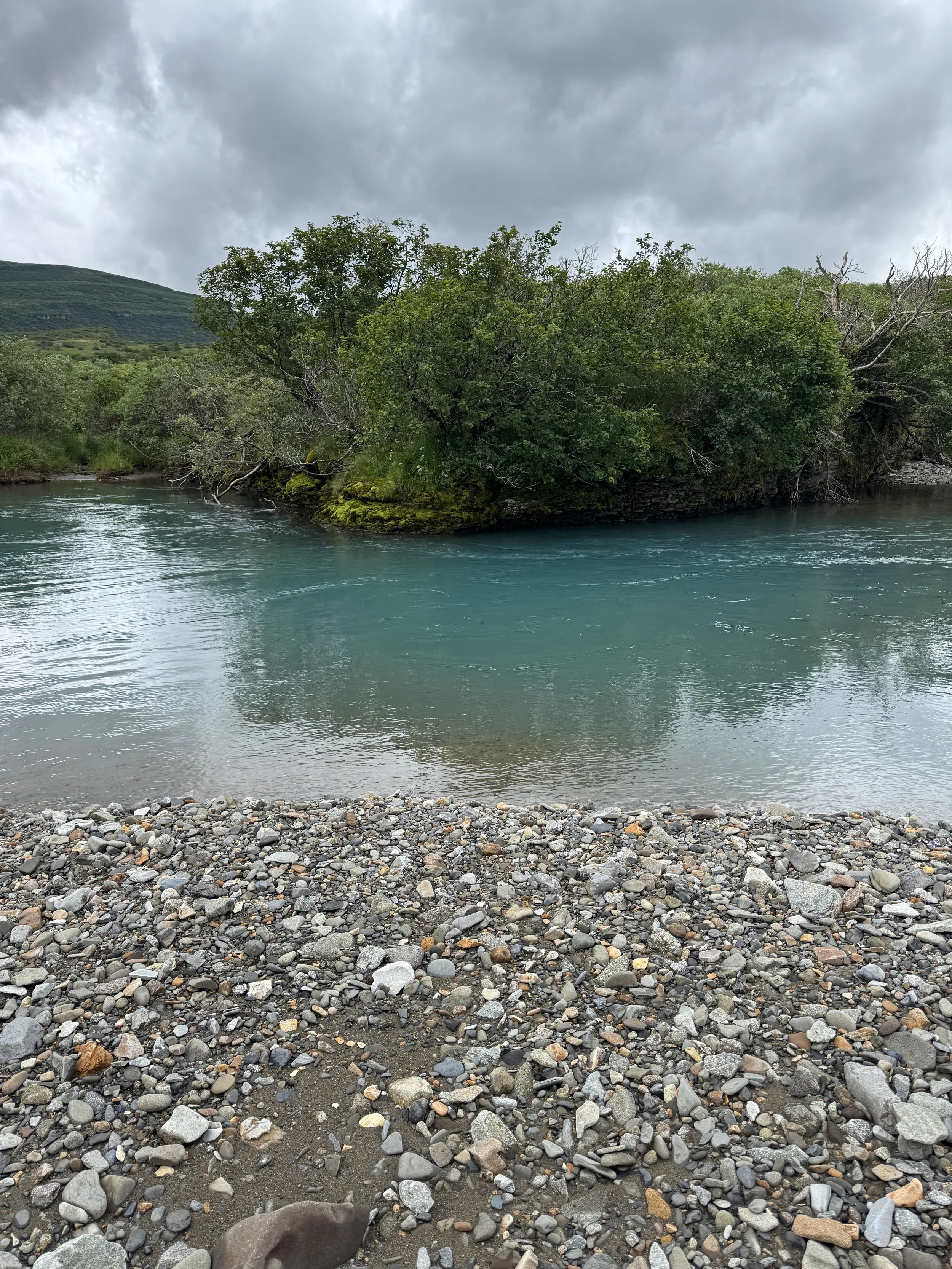 Scenic view of a rocky beach with a clear blue river, lush green trees on a small island, and hills covered with vegetation under a cloudy sky.
