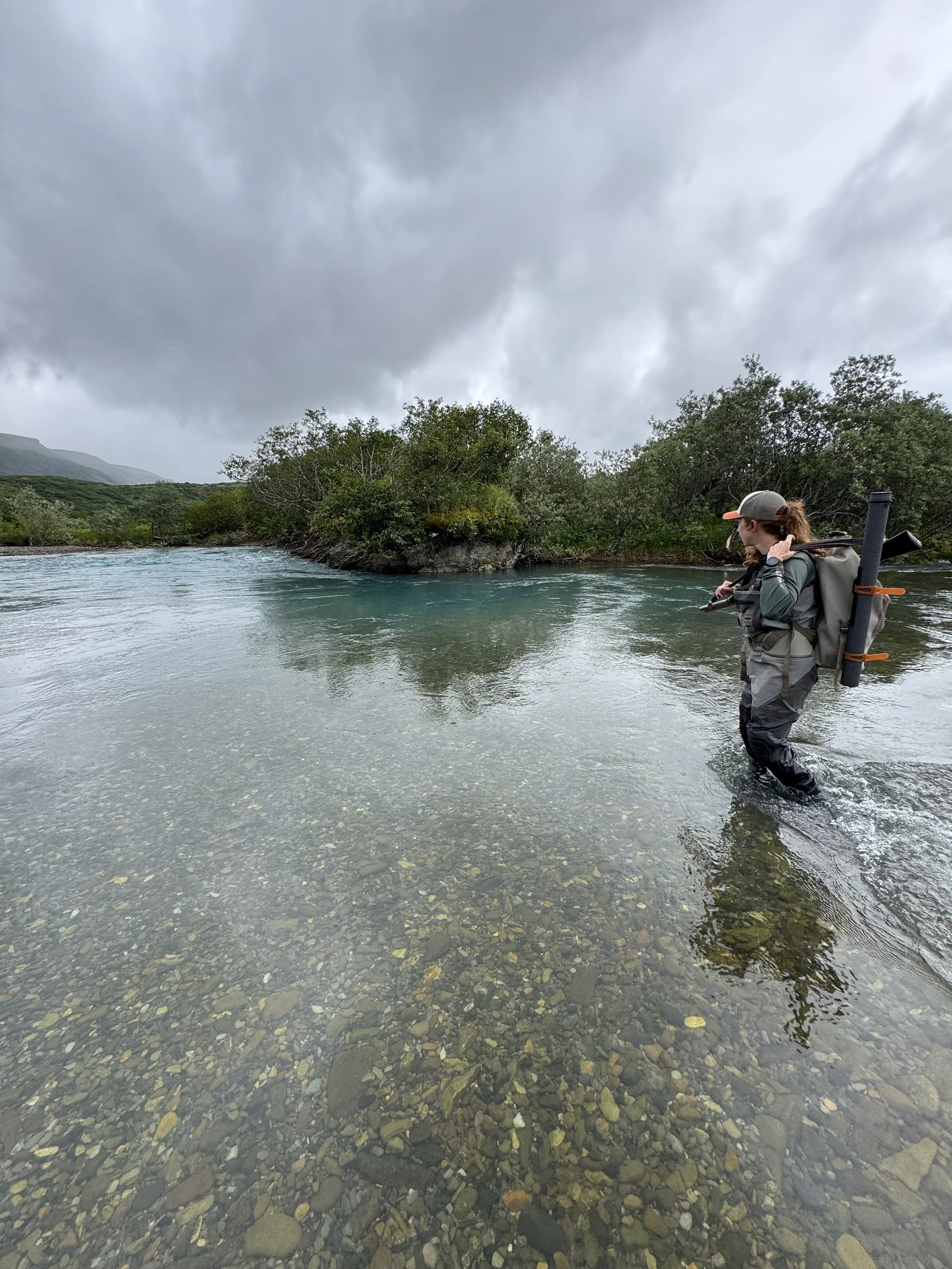 A person in waders stands in a shallow river with a backpack and a fishing rod strapped to their back, looking towards the riverbank with trees and cloudy sky in the background.