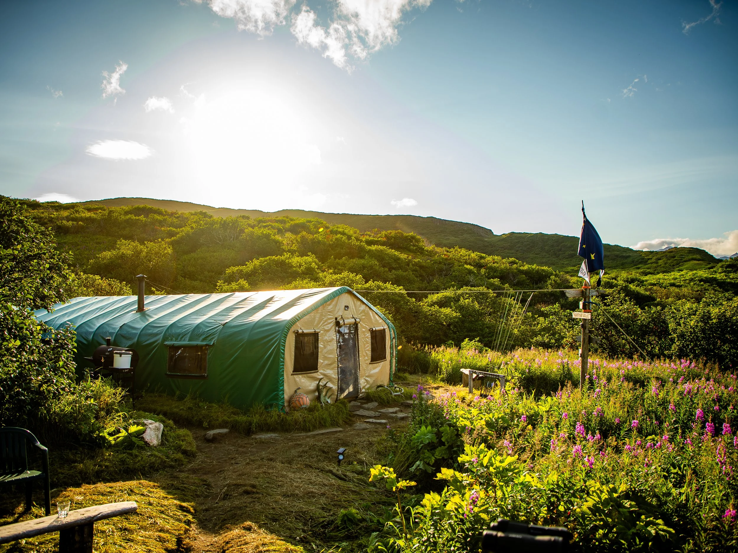 A lush green hillside with a small structure, possibly a greenhouse, and a field of purple flowers. The sky is bright with some clouds, and the sun is shining strongly, creating a lens flare. There is a flag on a post near the hillside in the distance.