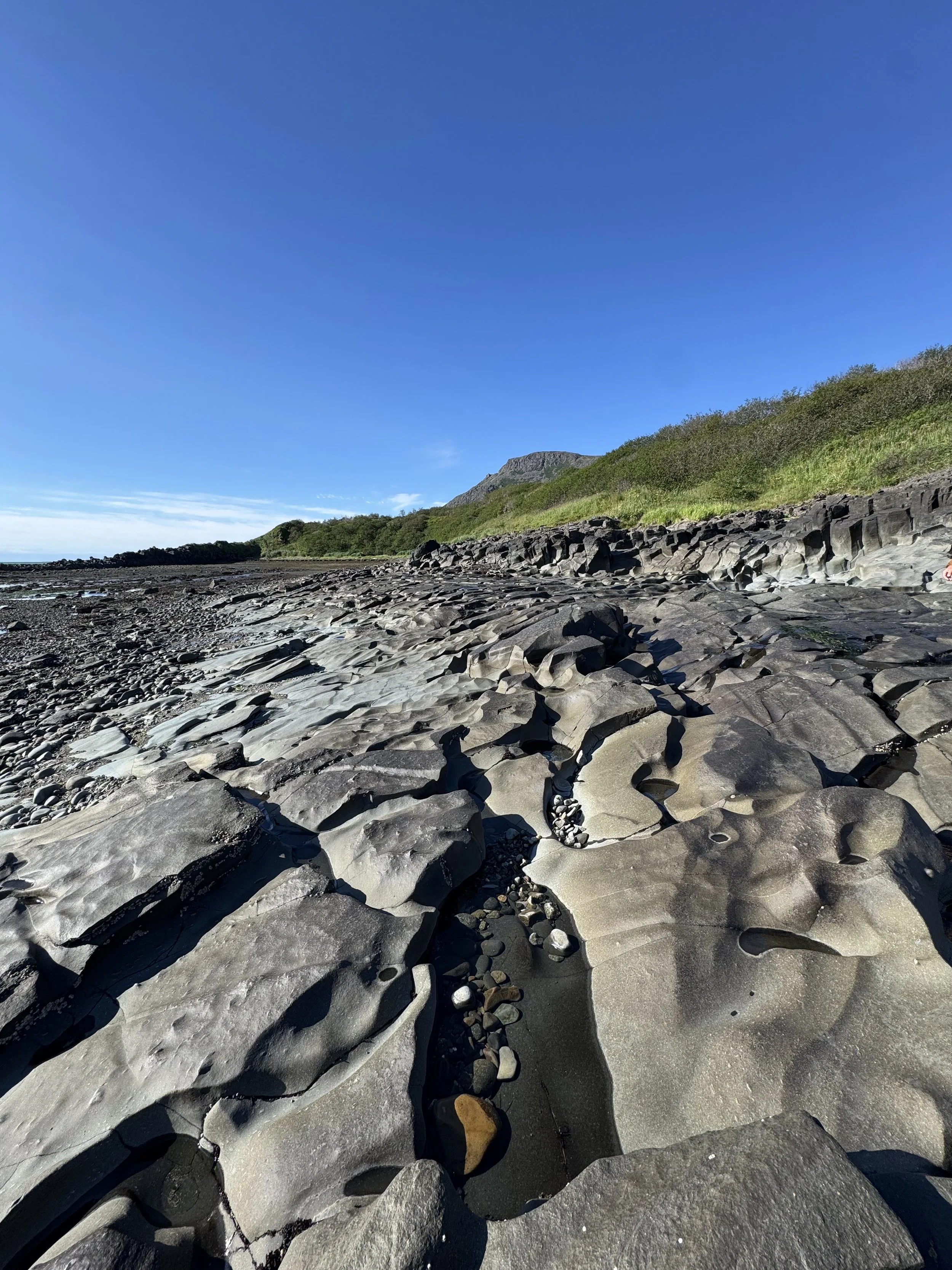 Rocky beach with large, flat gray stones and chunks of pebbles, backed by green shrubbery and a mountain in the distance under a clear blue sky.