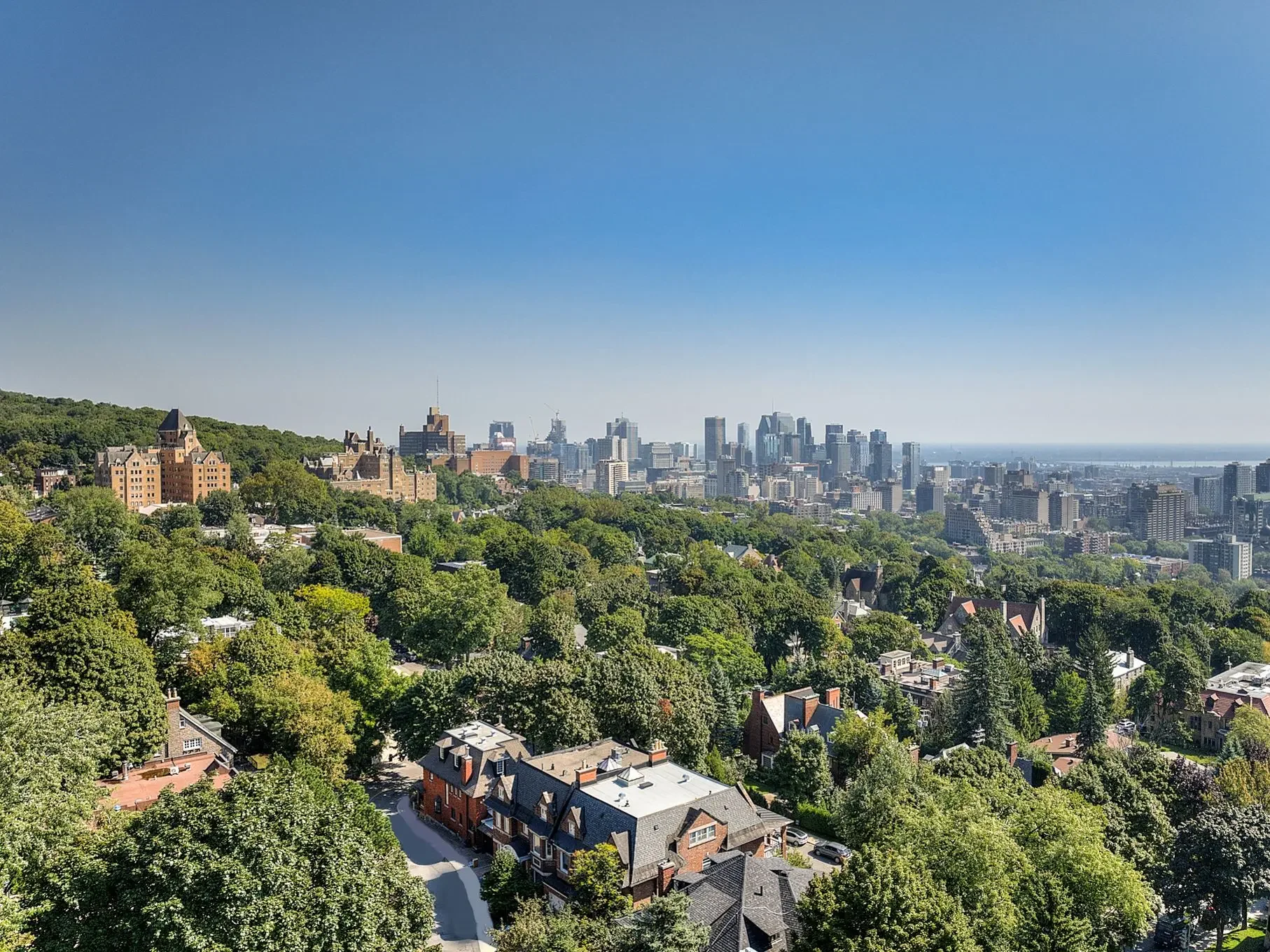 A panoramic view of a city skyline with modern high-rise buildings in the distance, and a lush, green residential neighborhood with trees and houses in the foreground on a clear, sunny day.