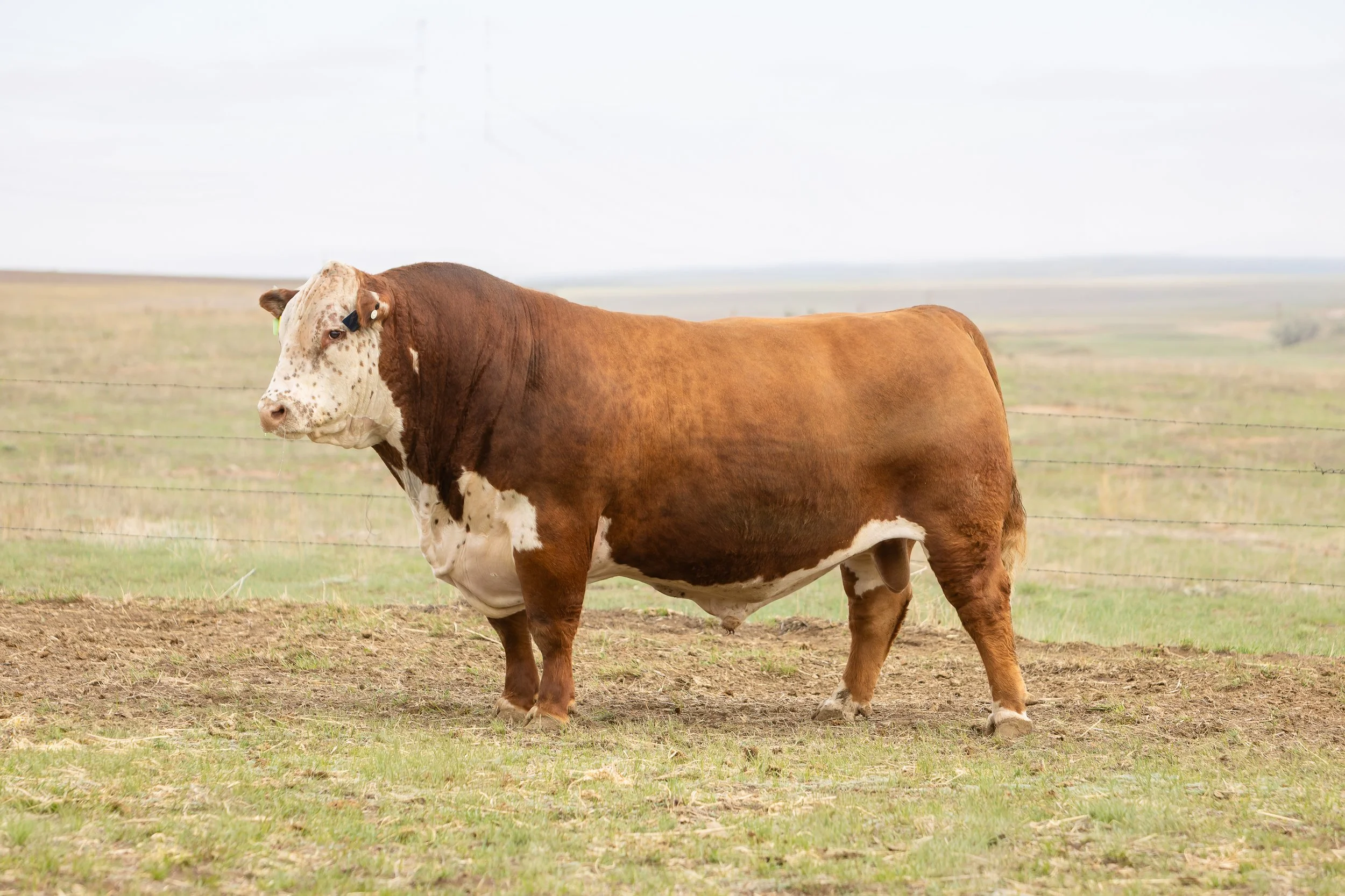 SH26_Kyle_BMR-5538.jpg