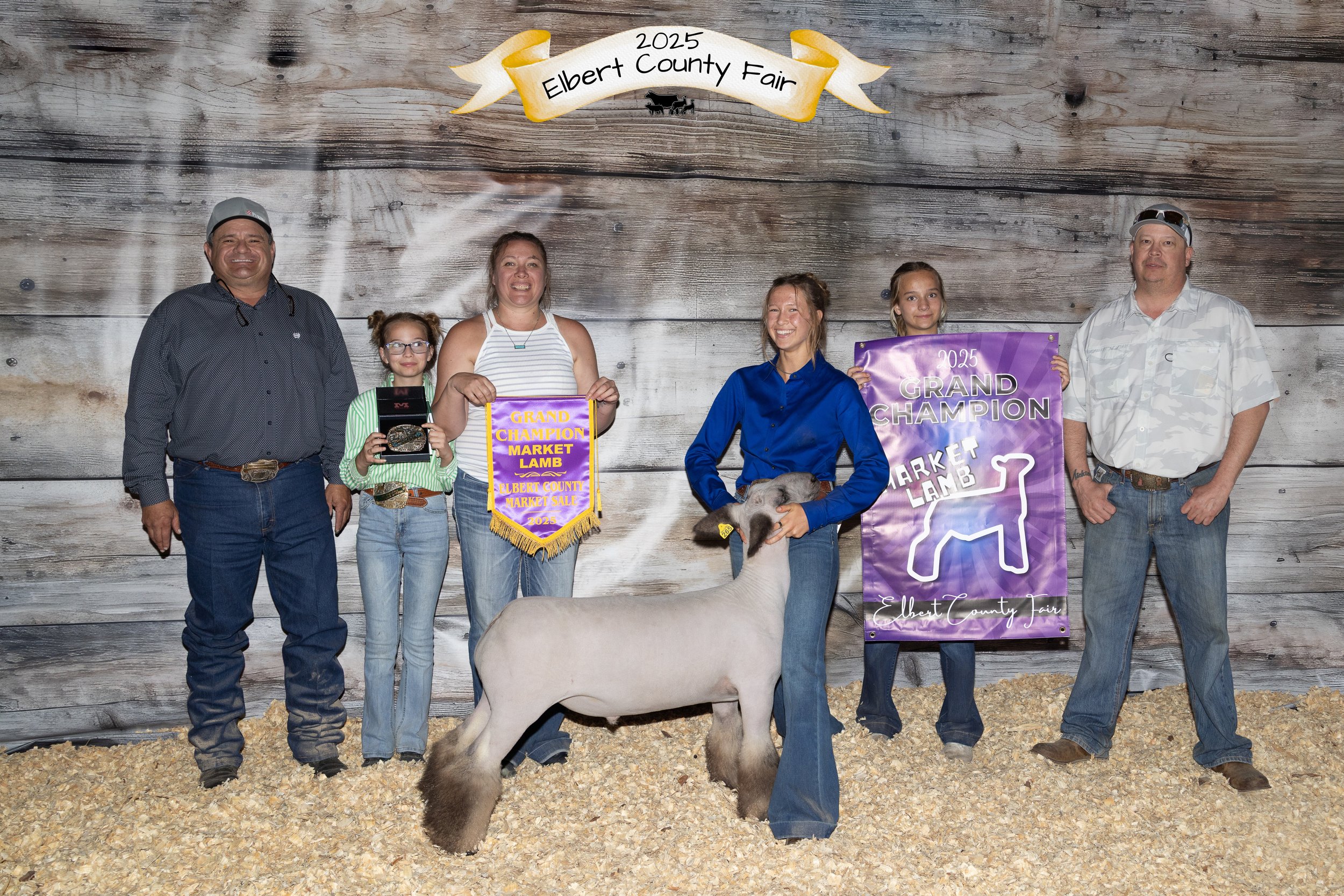 Group of six people standing indoors in front of a wooden wall at the 2025 Elbert County Fair. Two girls and four adults, including two men and two women. The girl in the middle is holding a ribbon and a plaque for grand champion market lamb. An adult woman in the center is holding a lamb, and a girl on the right is holding a purple sign that says "2025 Grand Champion Market Lamb." The group is smiling and dressed casually, with two people wearing hats and sunglasses.