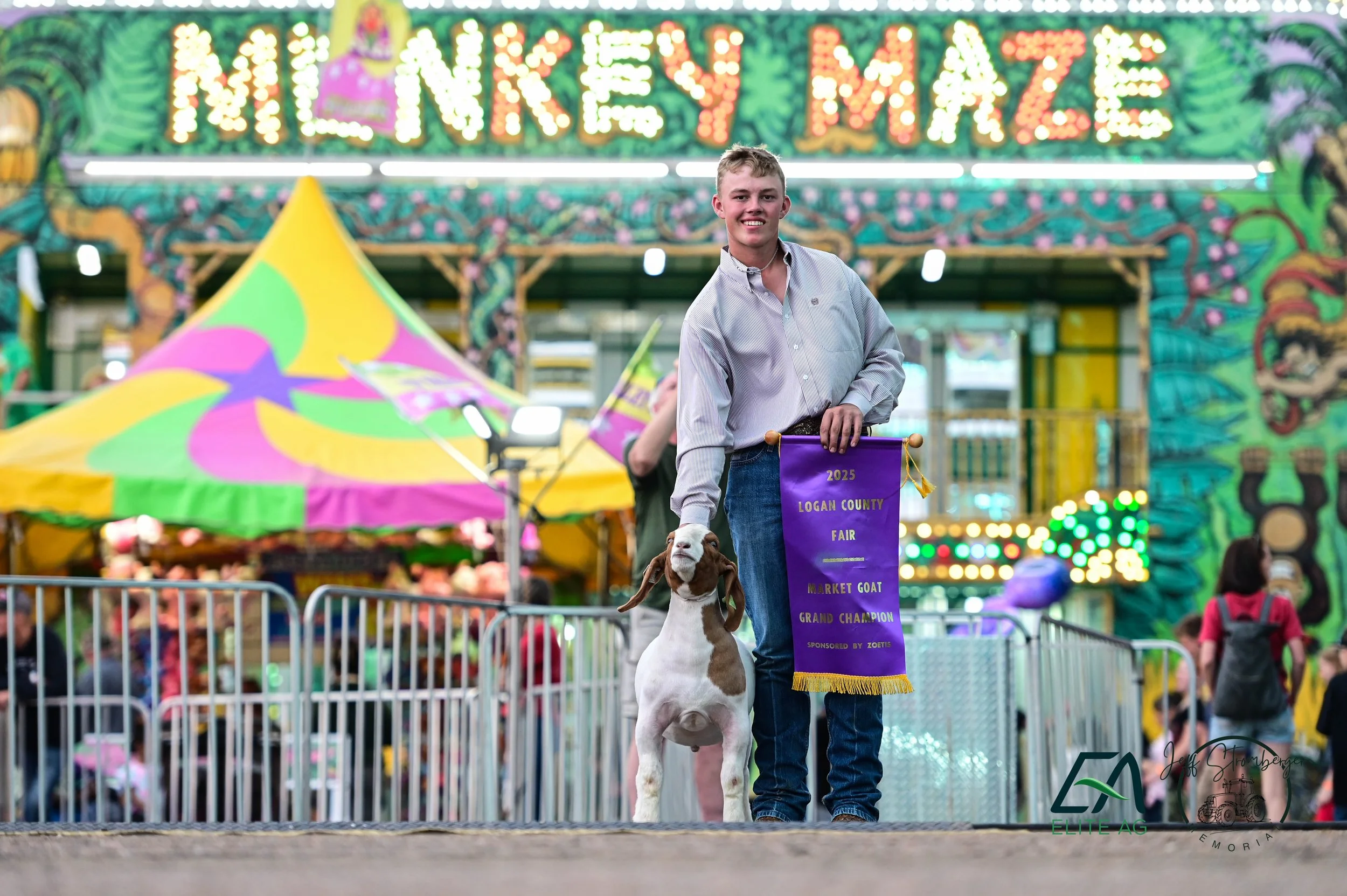 A young man standing with a dog at a fair, holding a purple banner that reads '2025 Logan County Fair, Market Goat, Grand Champion.' The background features colorful decorative lights, a sign that reads 'Mini Kingdom,' and a lively fair atmosphere with stalls and colorful tents.
