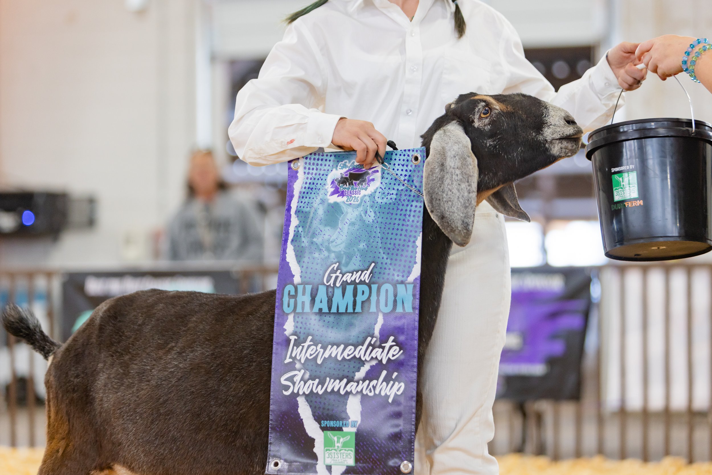 BTH26_5.9_Dairygoats_5S_BMR-3961.jpg