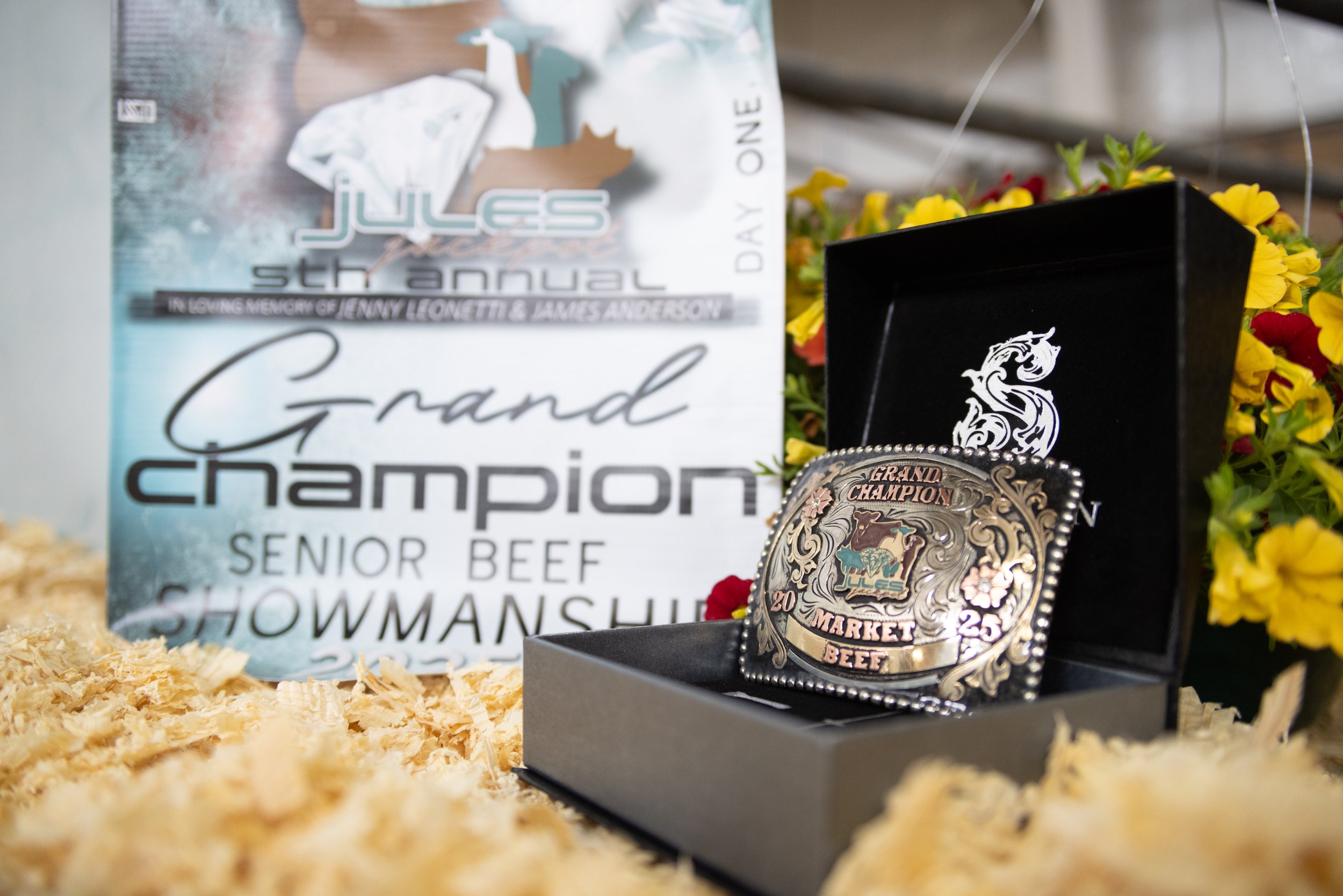 A championship belt displayed in a black box with a decorative badge indicating 'Grand Champion Senior Beef Showmanship.' In the background, a poster for a youth livestock show, mentioning the Jule's annual event in memory of Jenny Lonettti and James Anderson, is partially visible. The surface is covered with wood shavings, and there are yellow flowers to the right.