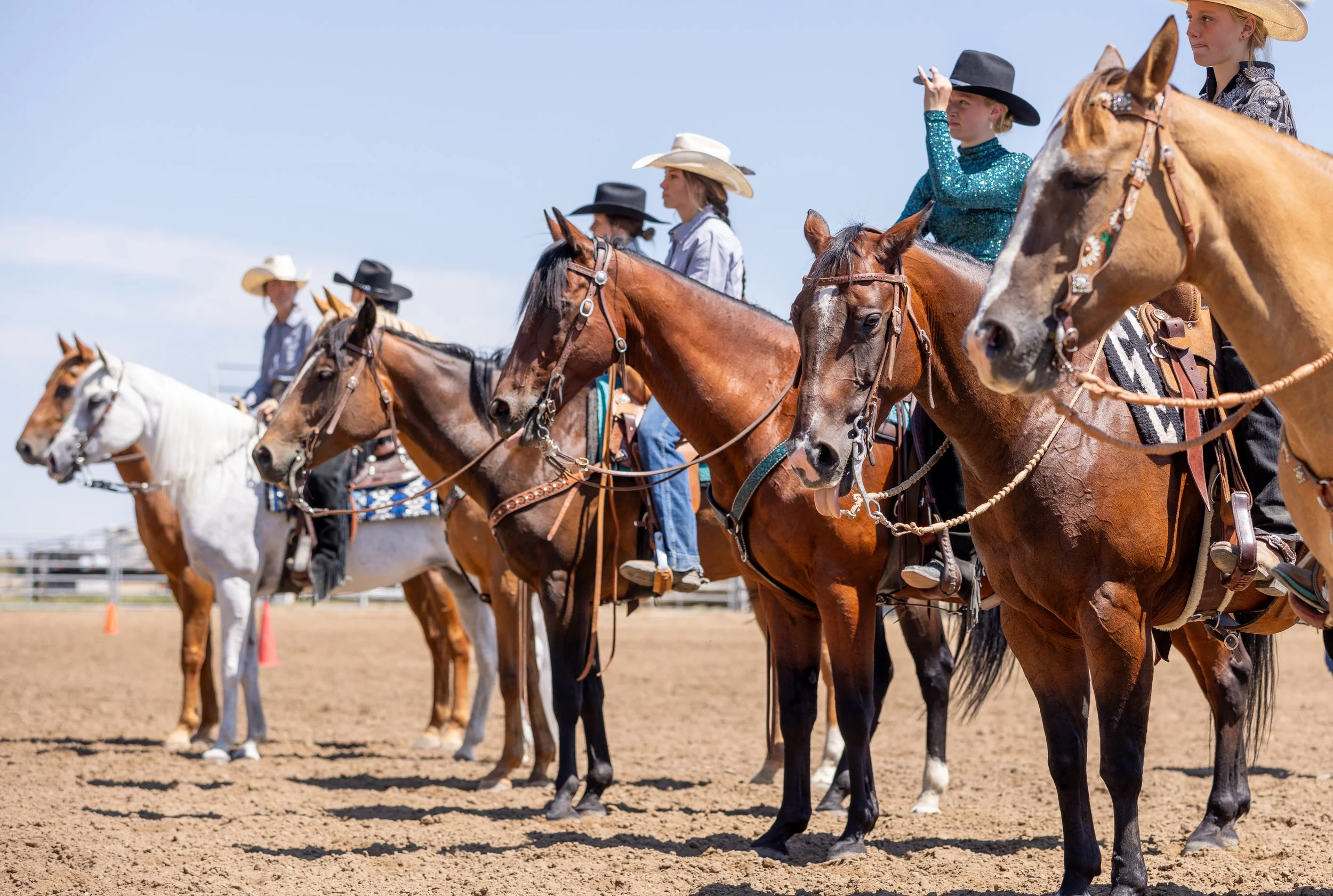 SEWCF23_Horse_ADH-0294.jpg