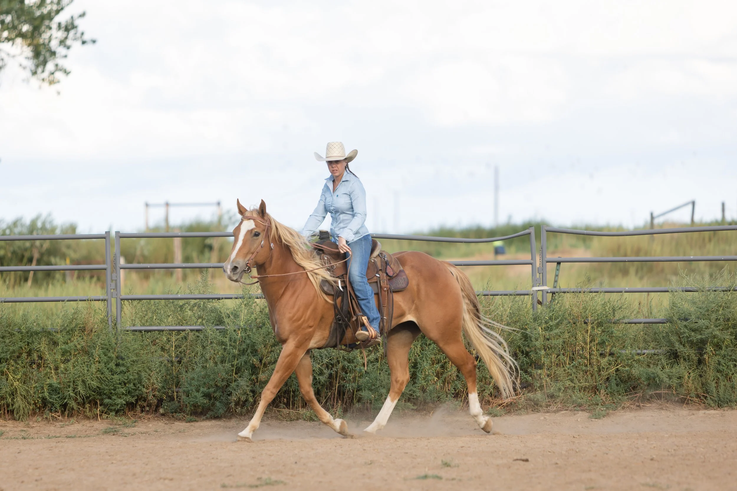 Honey25_BMR-5430.jpg
