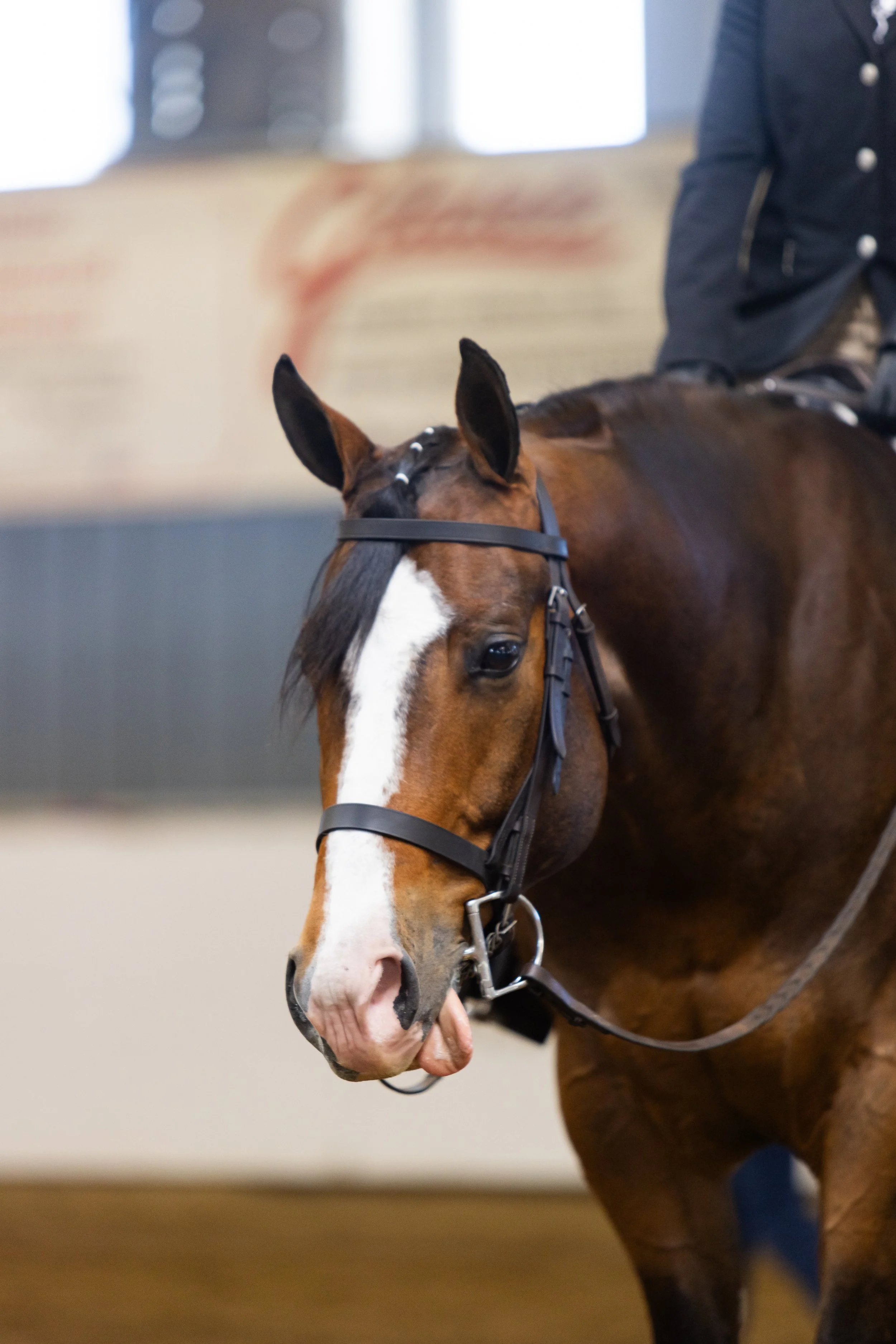 EPHS_ENGLISH_BMR-2153.jpg