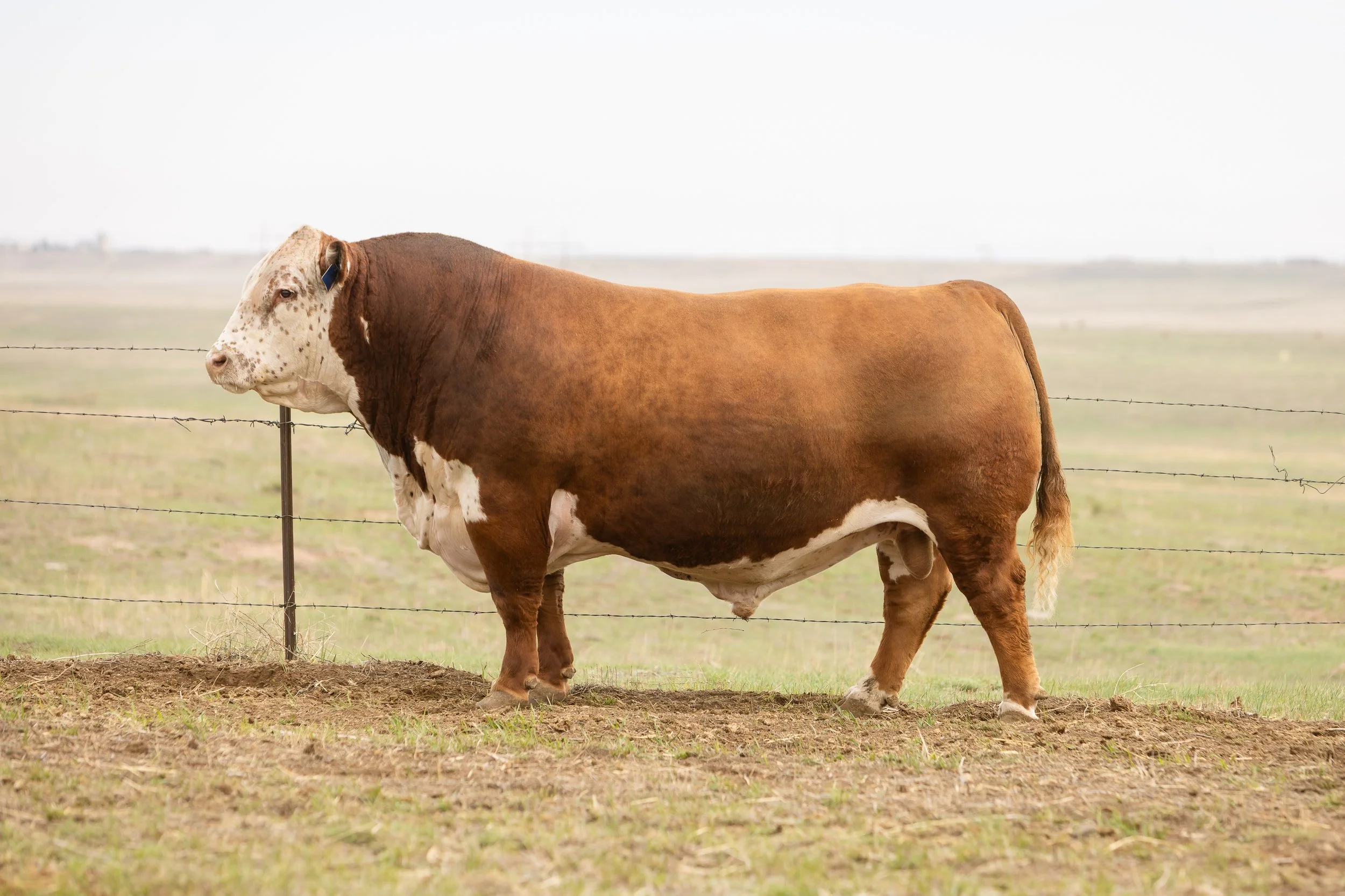 SH26_Kyle_BMR-5571.jpg
