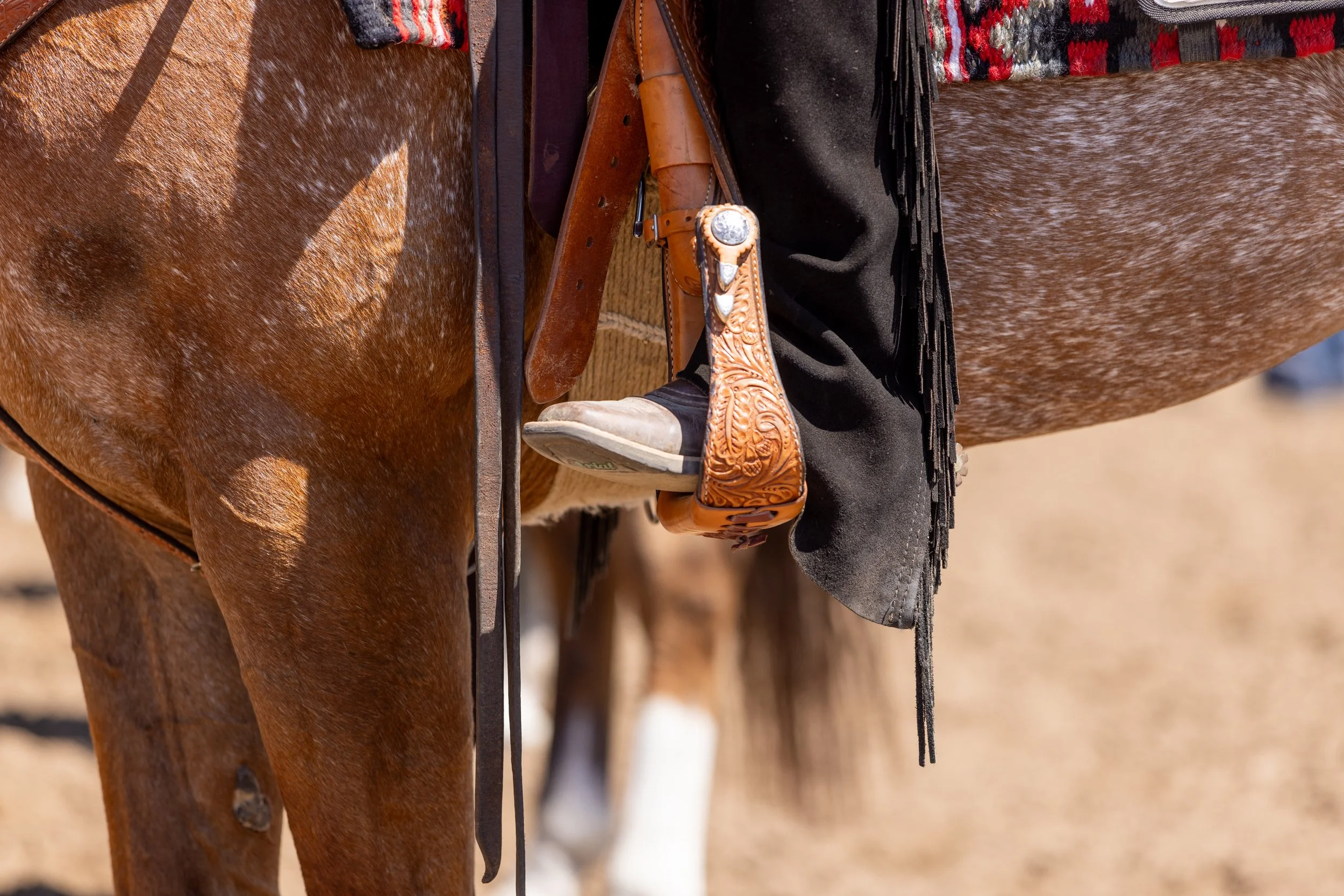 SEWCF23_Horse_ADH-0296.jpg