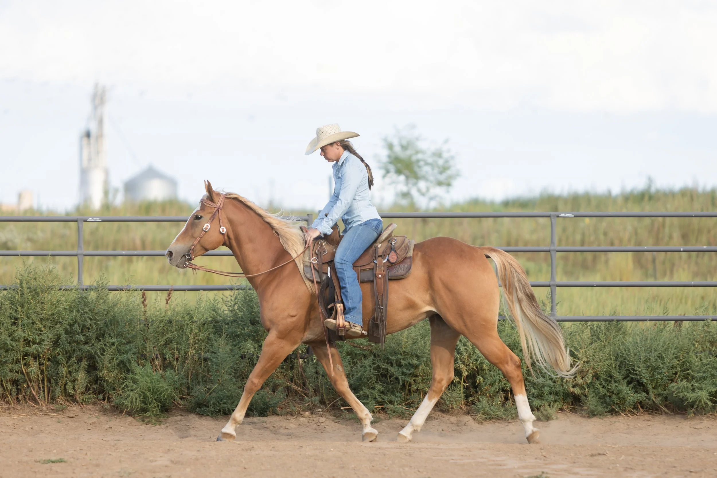 Honey25_BMR-5423.jpg