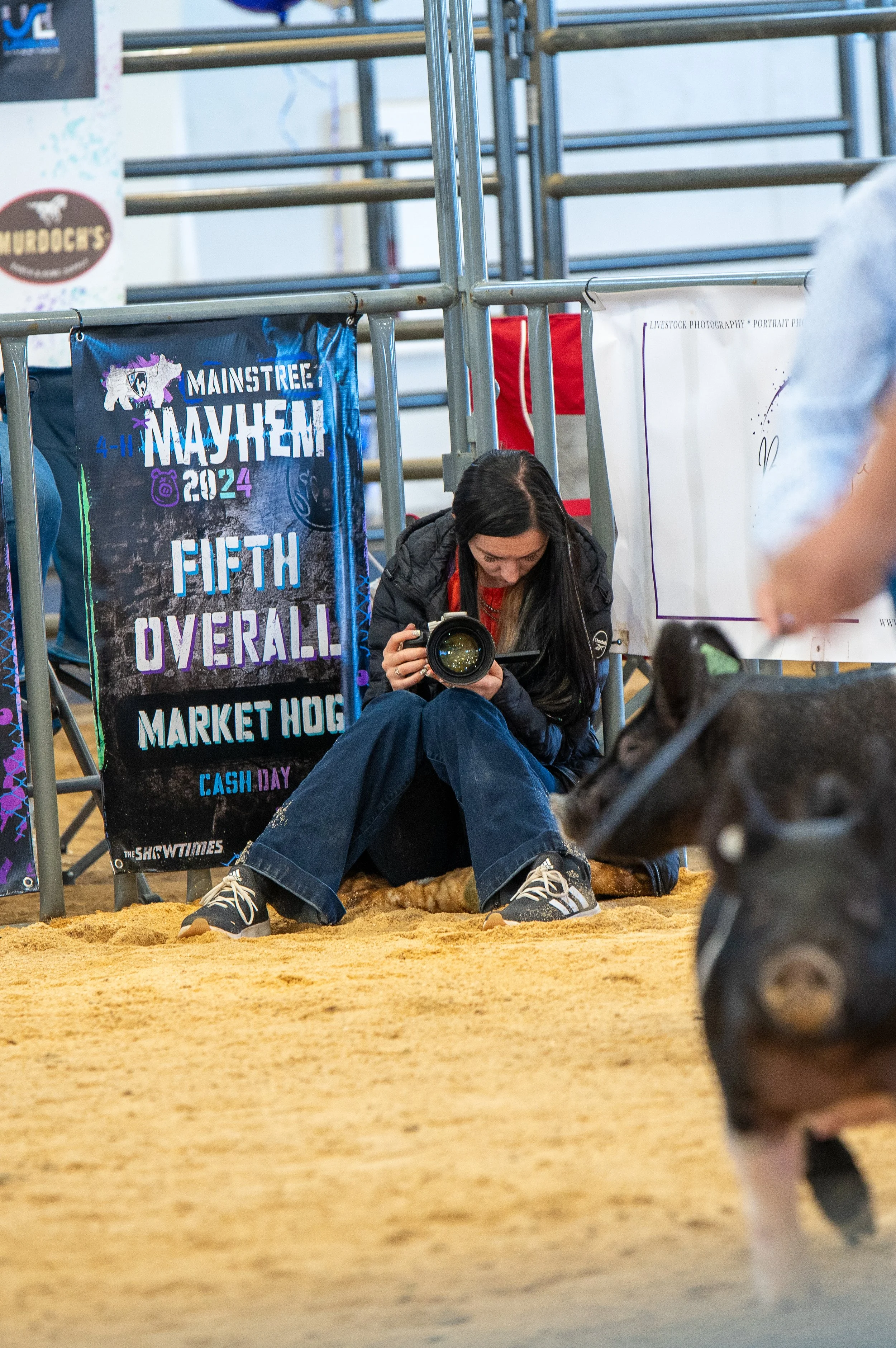 A woman sitting on the ground with a camera, surrounded by metal barriers at a livestock event. Banners in the background indicate it is an event related to cattle or livestock photography, with the text 'Mainstreet Mayhem 2024 Fifth Overall Market Hog' visible.