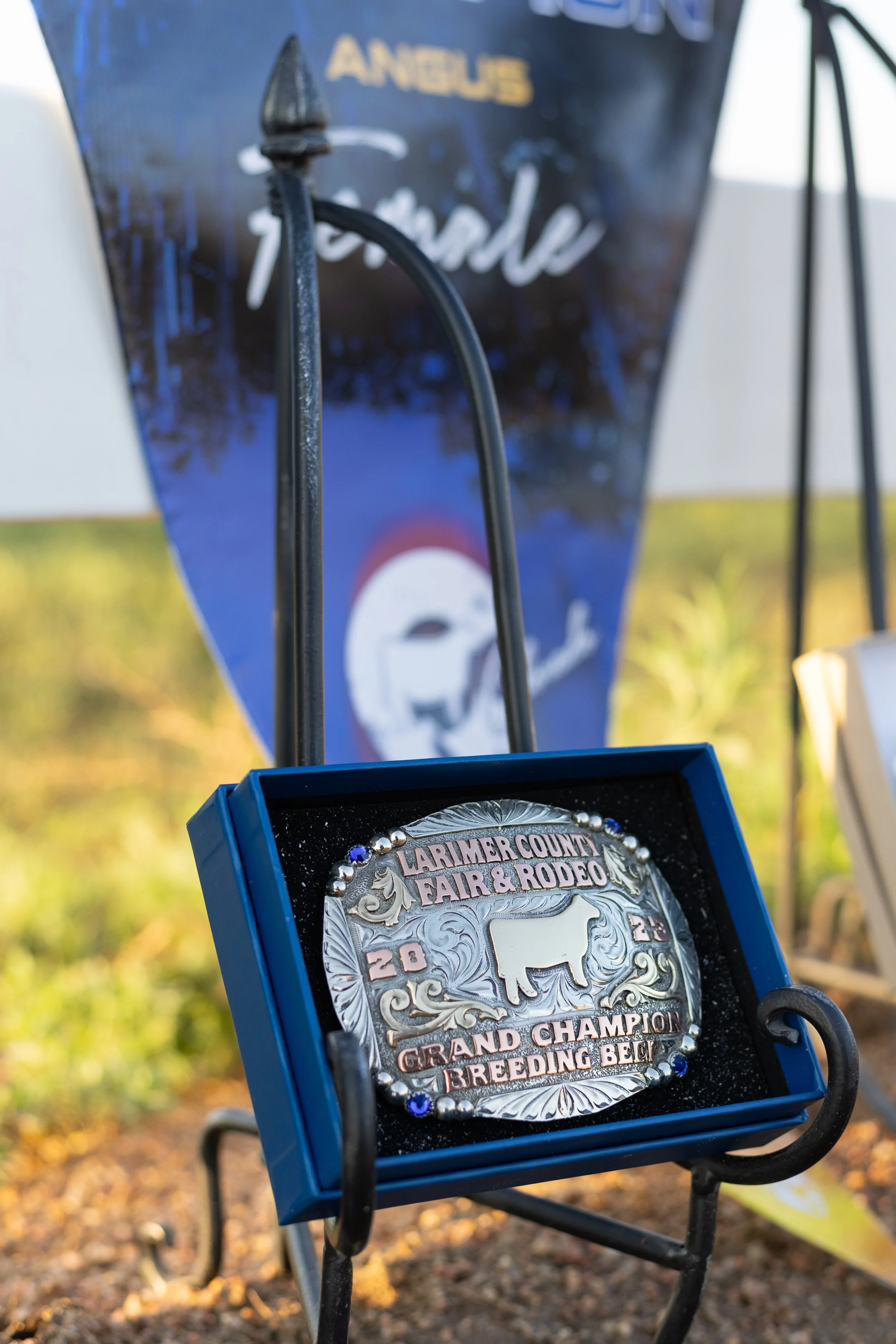 LCF23_KRAFT_BMR-4304.jpg