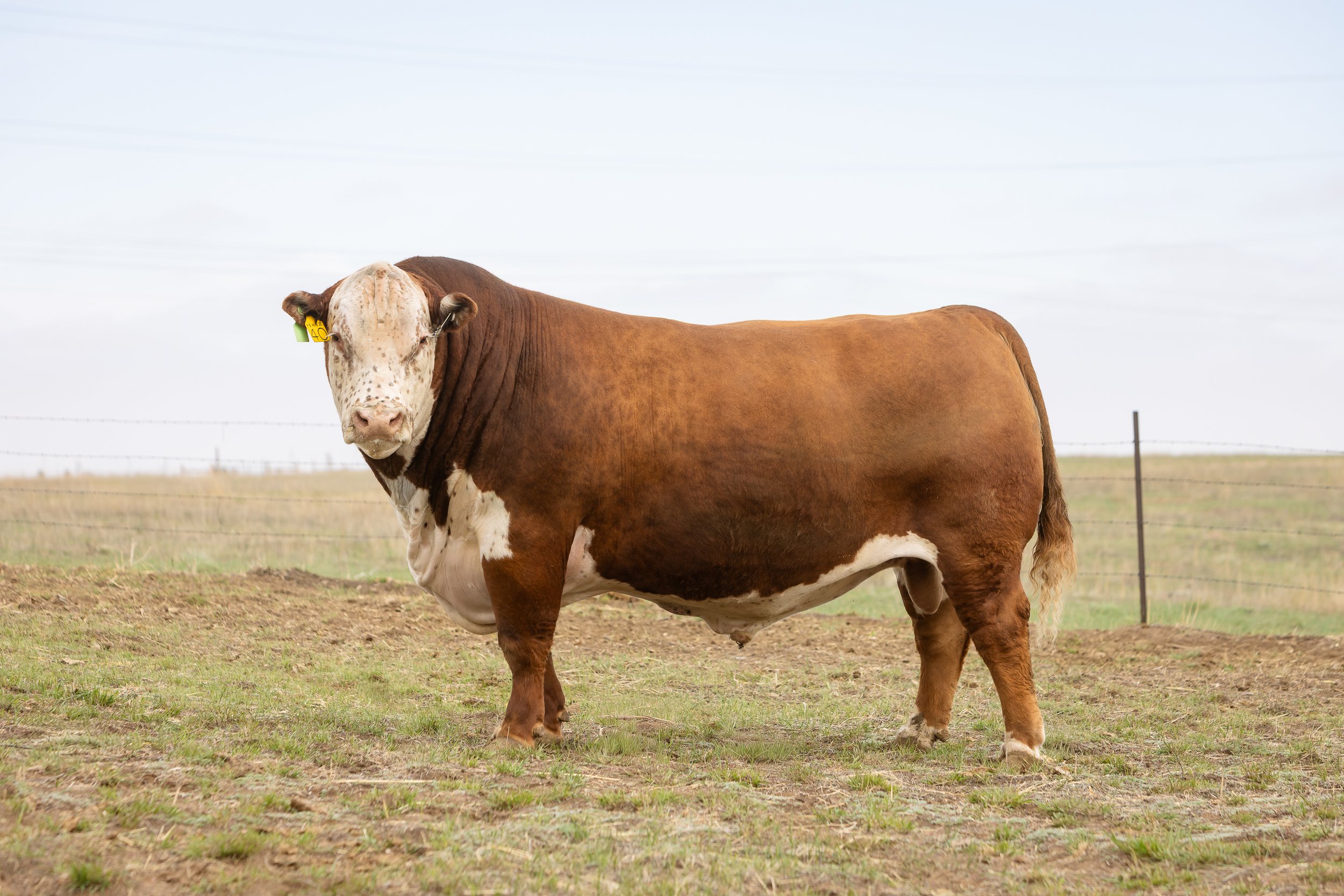 SH26_Kyle_BMR-5531.jpg