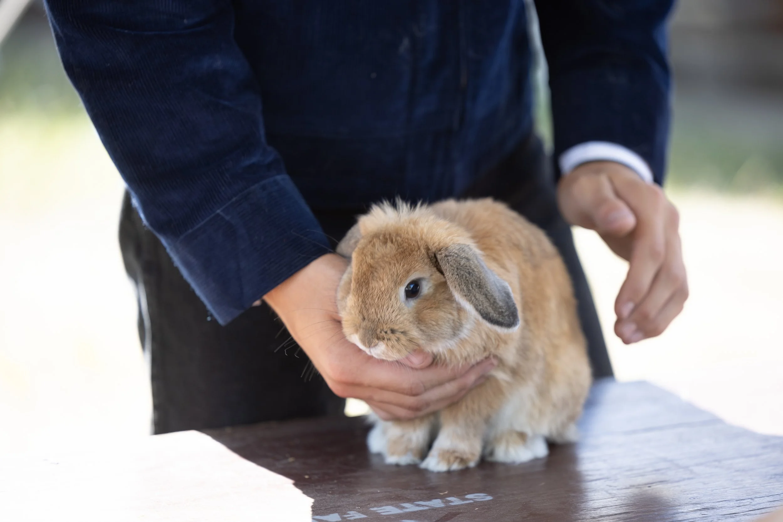 WSF23_RABBIT_BMR-7063.jpg