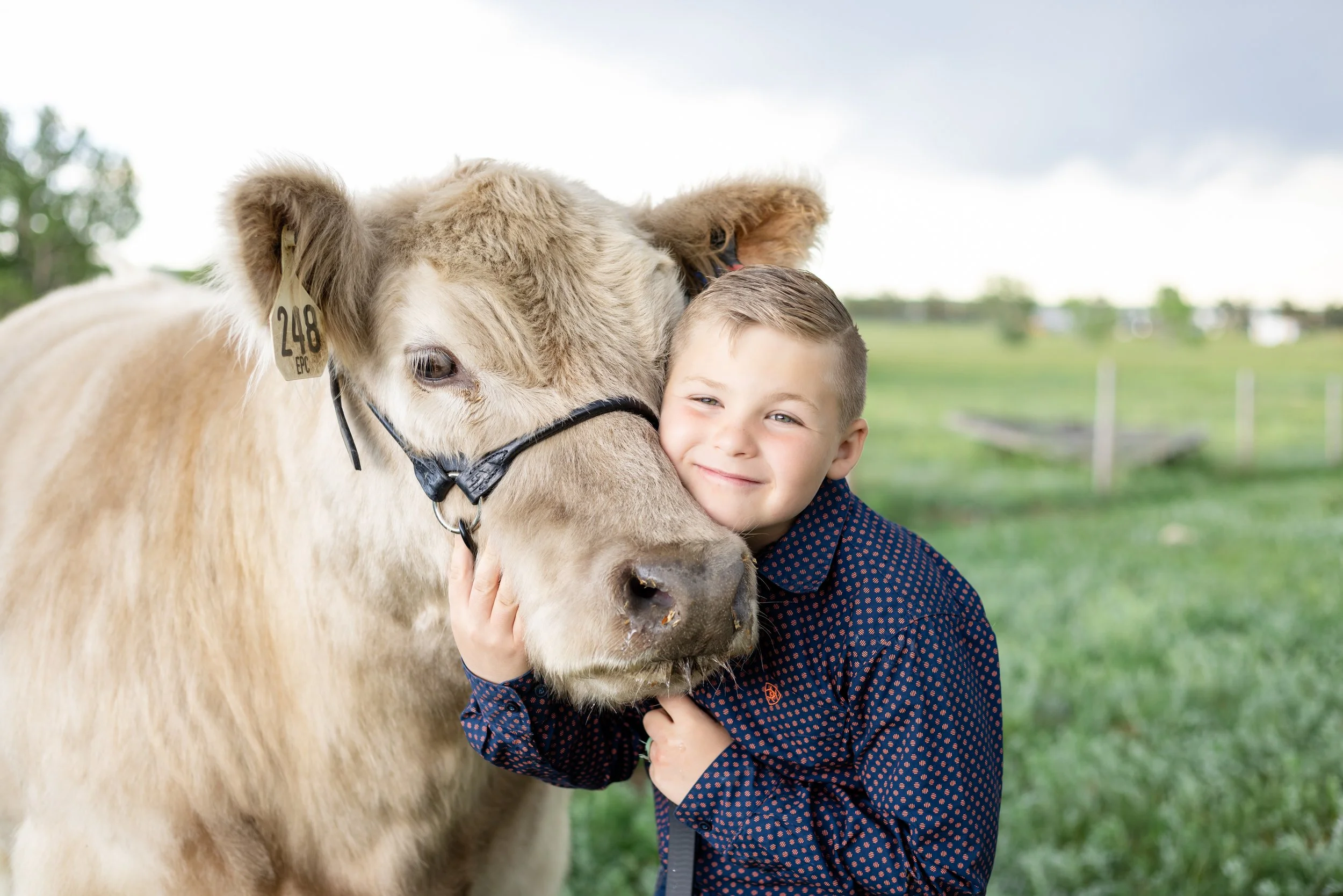 A young boy in a navy blue shirt with orange patterns hugging a large light-colored cow on a grassy field with trees in the background.
