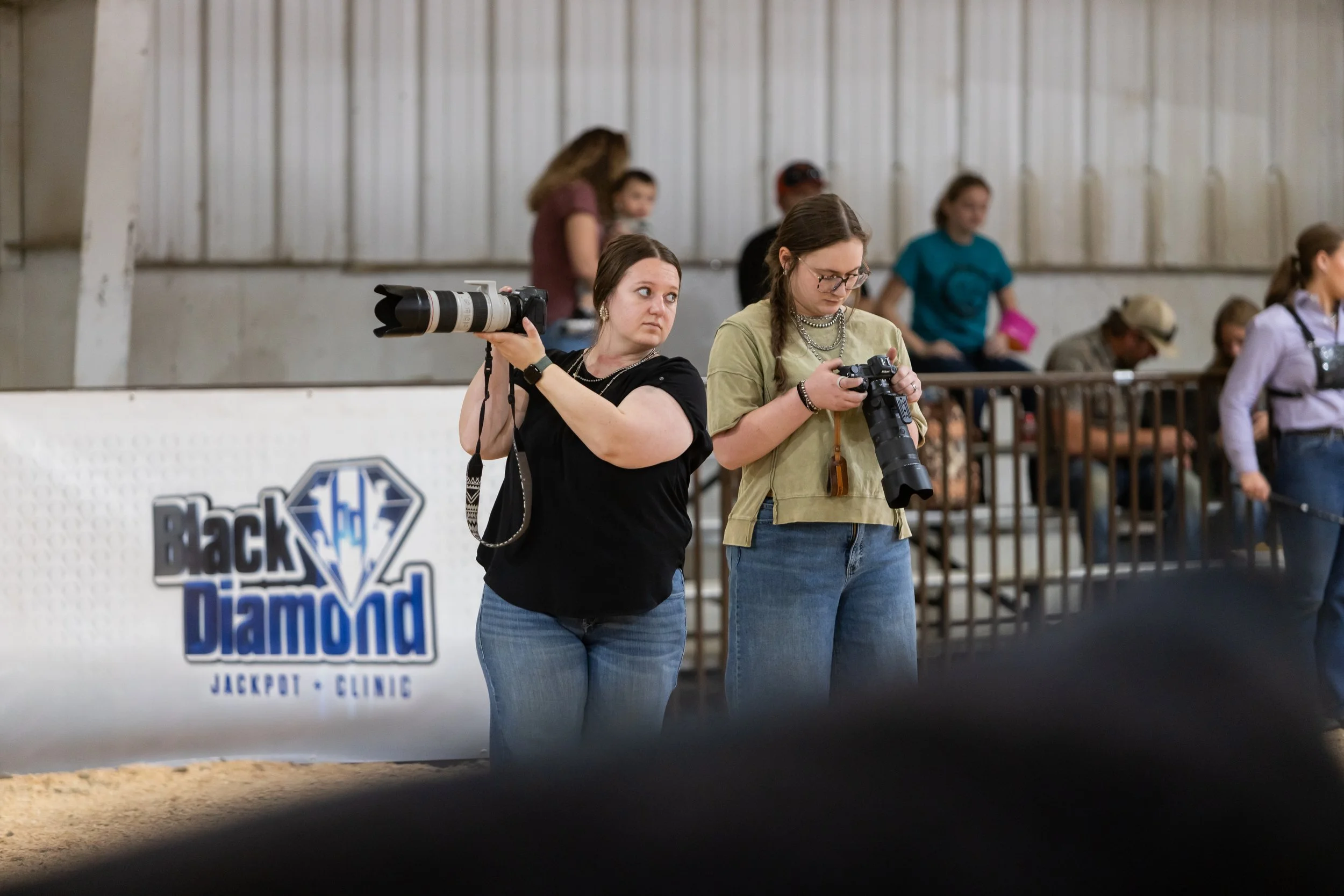 BD24_Cattle_BMR-9806.jpg