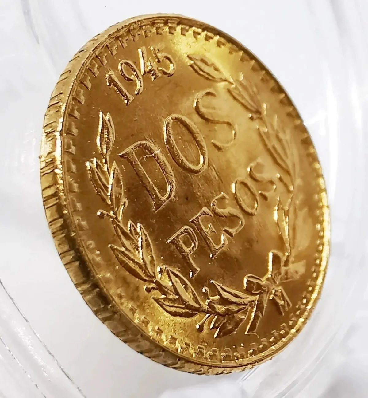 Moneda de 10 pesos con bordes dentados, con inscripciones y ramas decorativas.