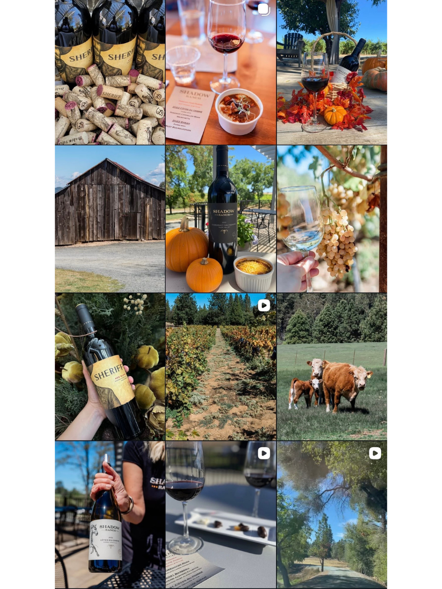 Collection of outdoor farm and vineyard scenes, including wine bottles, glasses of red wine, pumpkins, a barn, vineyard rows, a herd of calves, and trees.