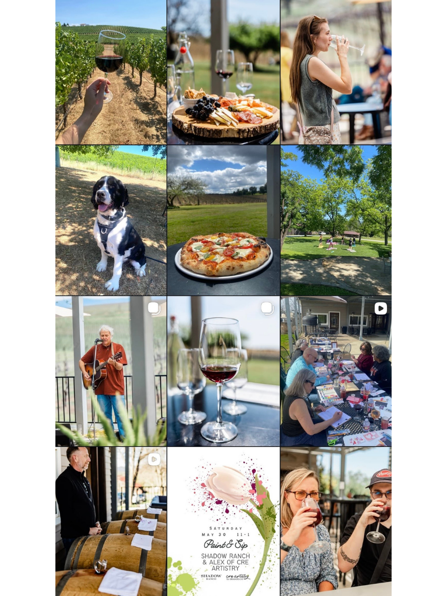 A collage of images depicting wine tasting, outdoor dining, a woman drinking wine, a dog in a park, a pizza, outdoor yoga, a man playing guitar, wine glasses, people gathered at a table, a man giving a speech, a flyer for an event, and people drinking wine.