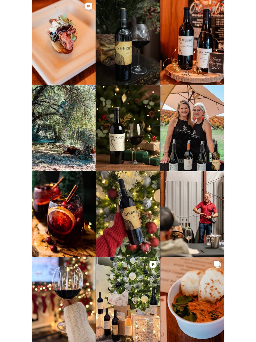 A collage of images featuring wine bottles, glasses of wine, a woman and a man at a wine tasting event, a Christmas tree with ornaments, a plate of food with bread, and a scenic outdoor area with trees and wildlife.