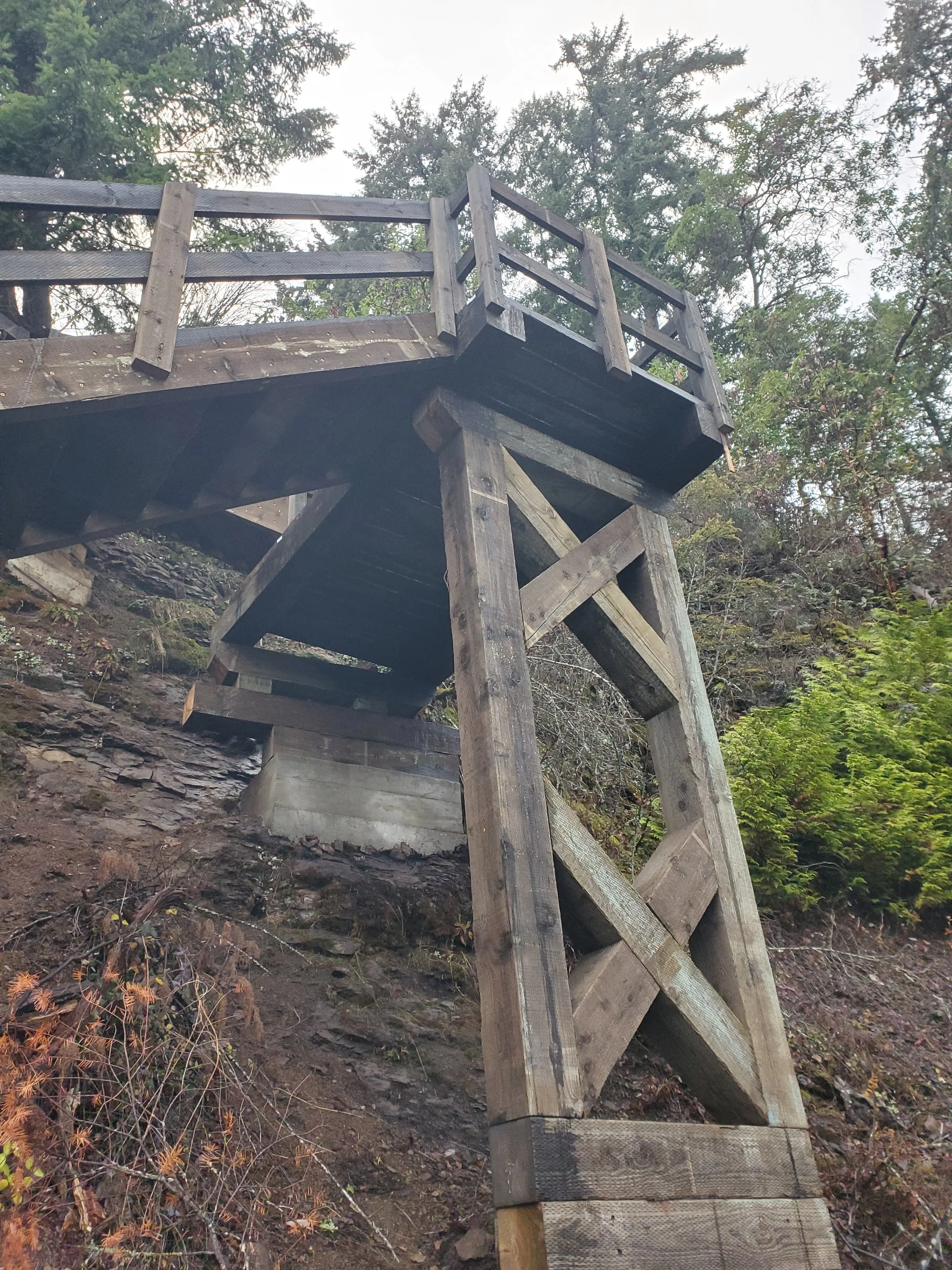 Wooden staircase with railings leading up a hill, surrounded by trees and bushes.