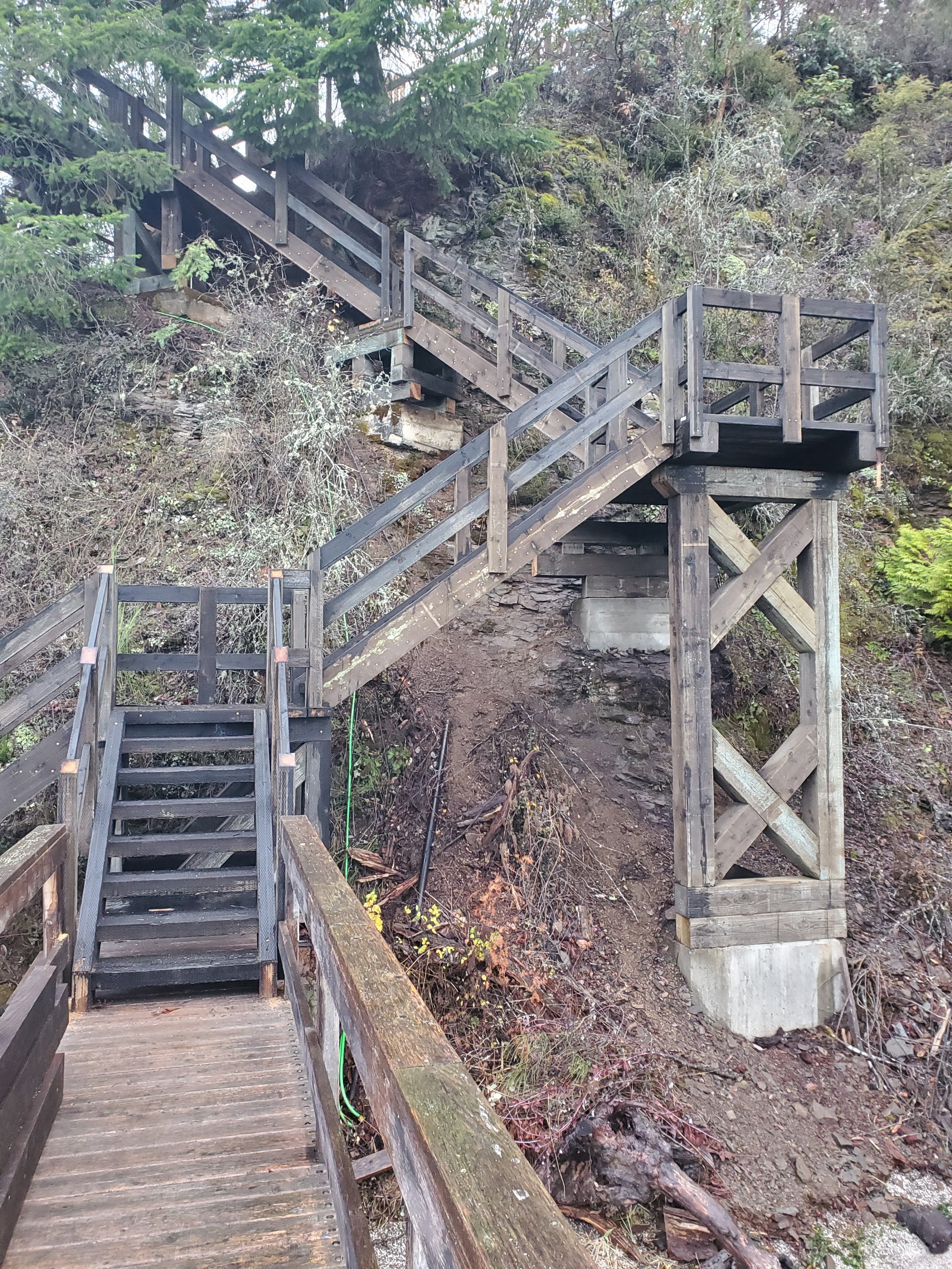 Wooden staircase built on a hillside, leading up through trees and vegetation.