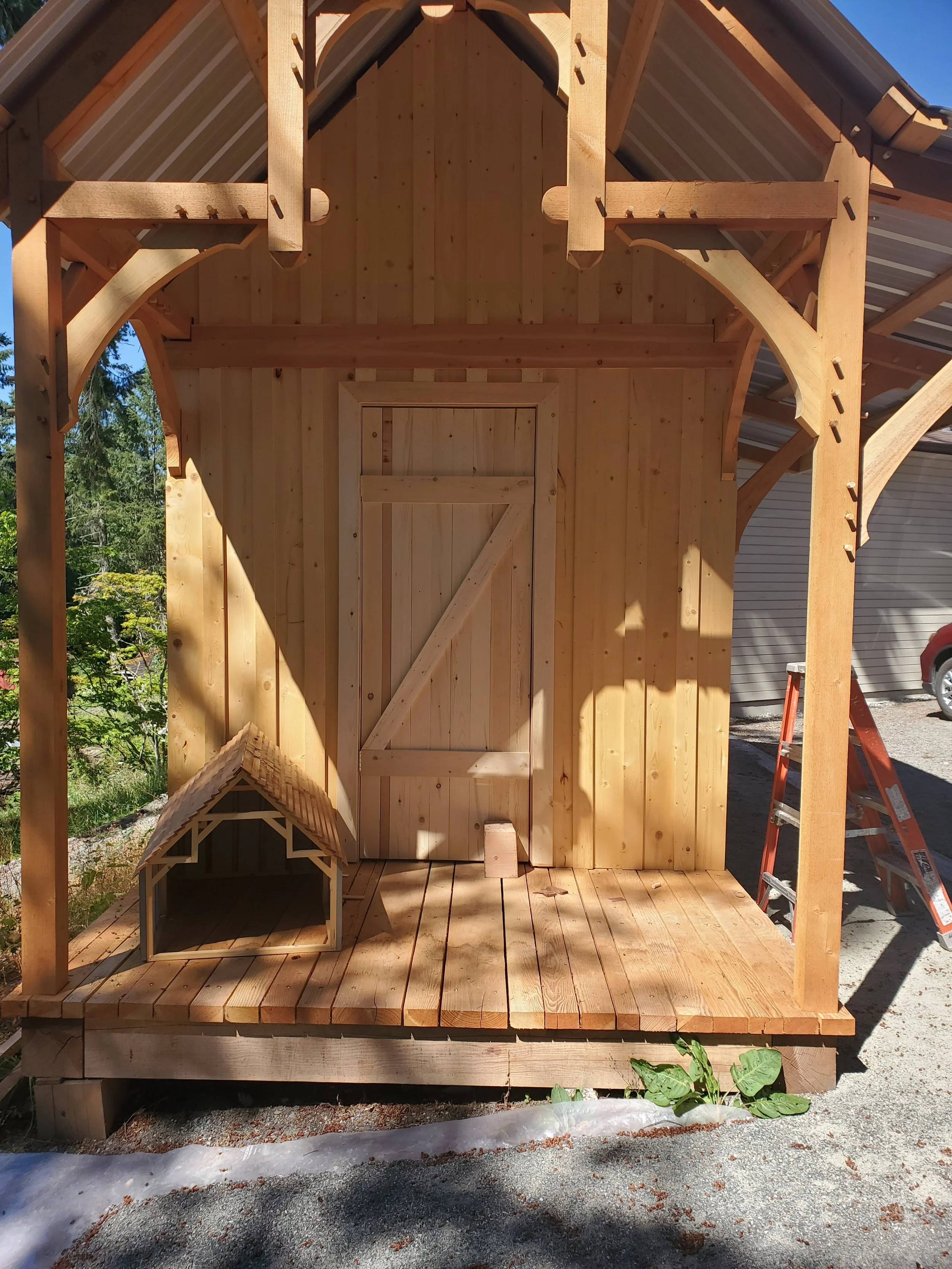 Wooden shed under construction with a doghouse in front, showing unfinished wooden walls and roof framing, and a ladder nearby.