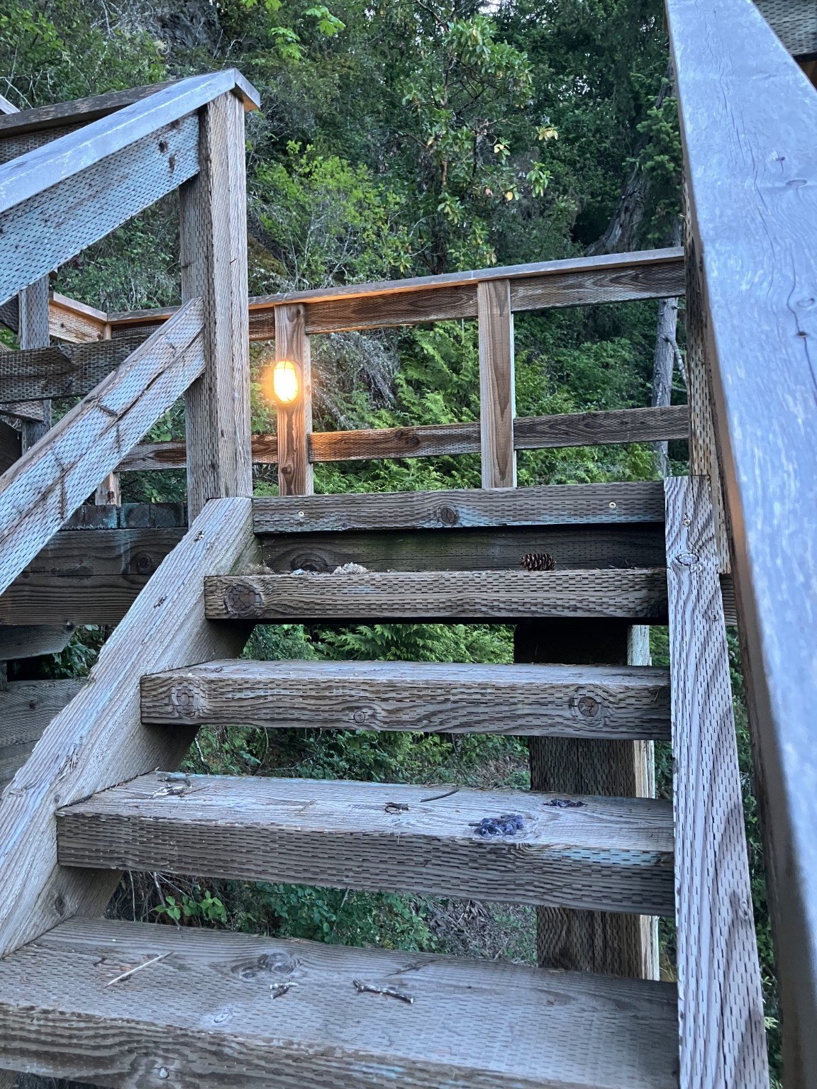 Wooden outdoor staircase with railing, surrounded by green trees and foliage, with a lit outdoor light near the top of the stairs.