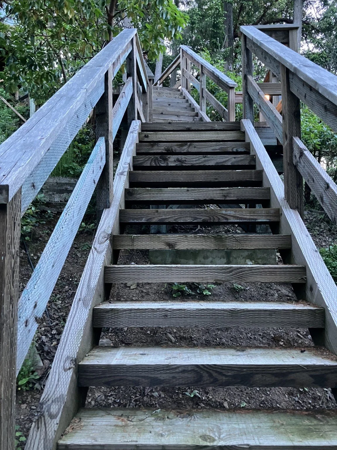 Wooden outdoor staircase with railings, leading upwards through a green, leafy wooded area.