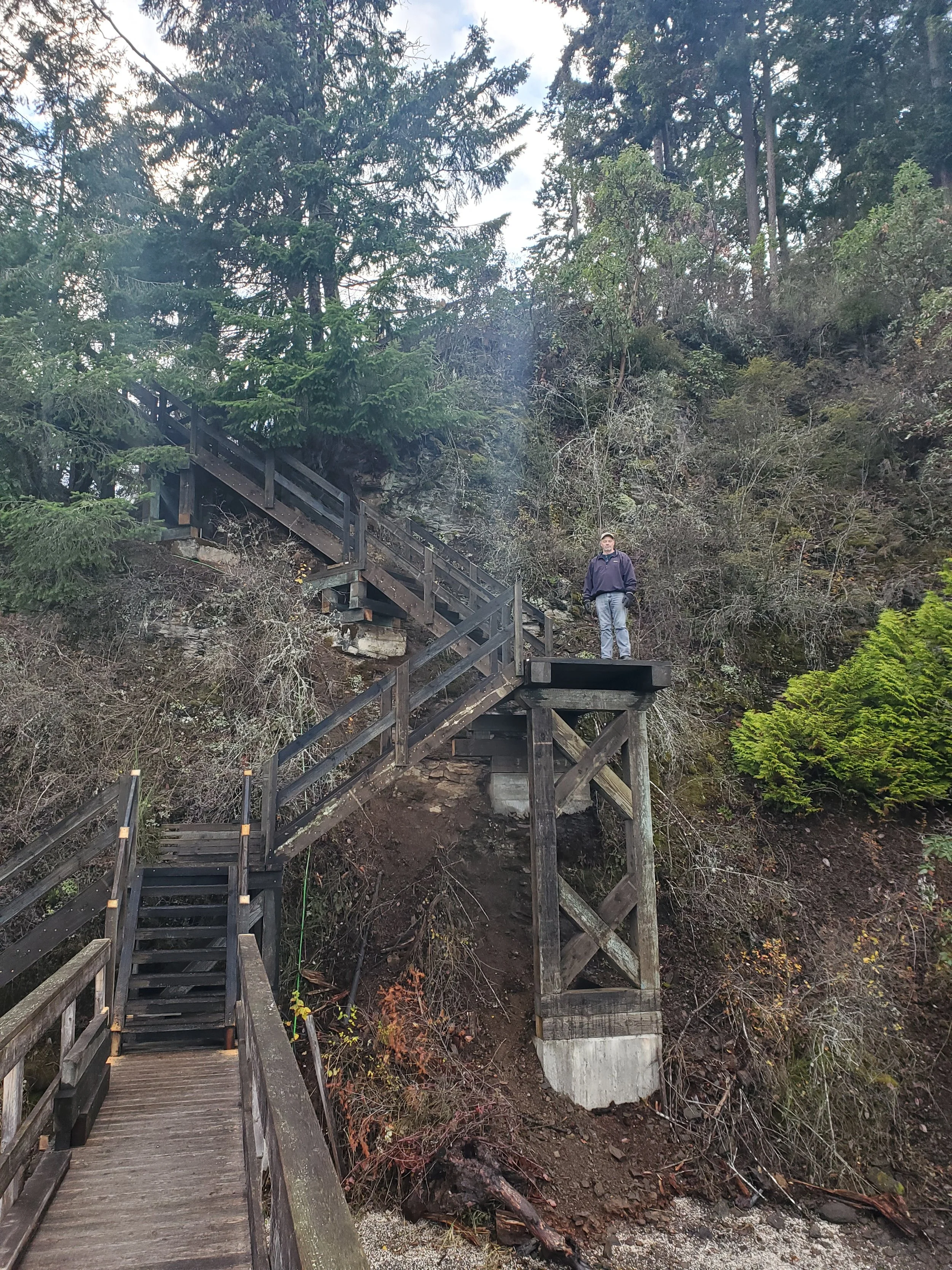 A man standing on a wooden platform next to a staircase leading up a hillside forested with tall trees and dense bushes.