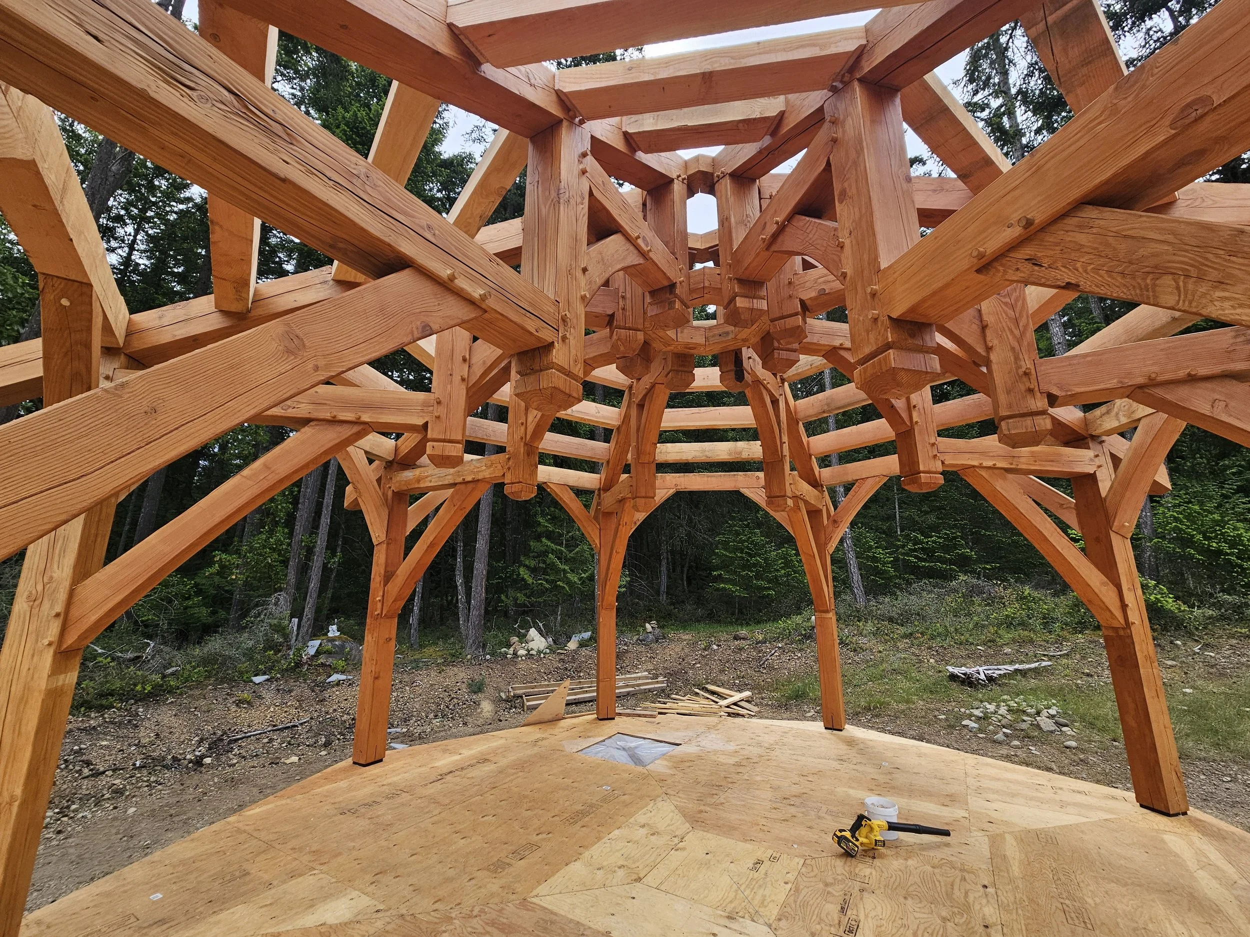 View of a wooden structure under construction in a forest, showing the framework and flooring made of wooden beams and panels.