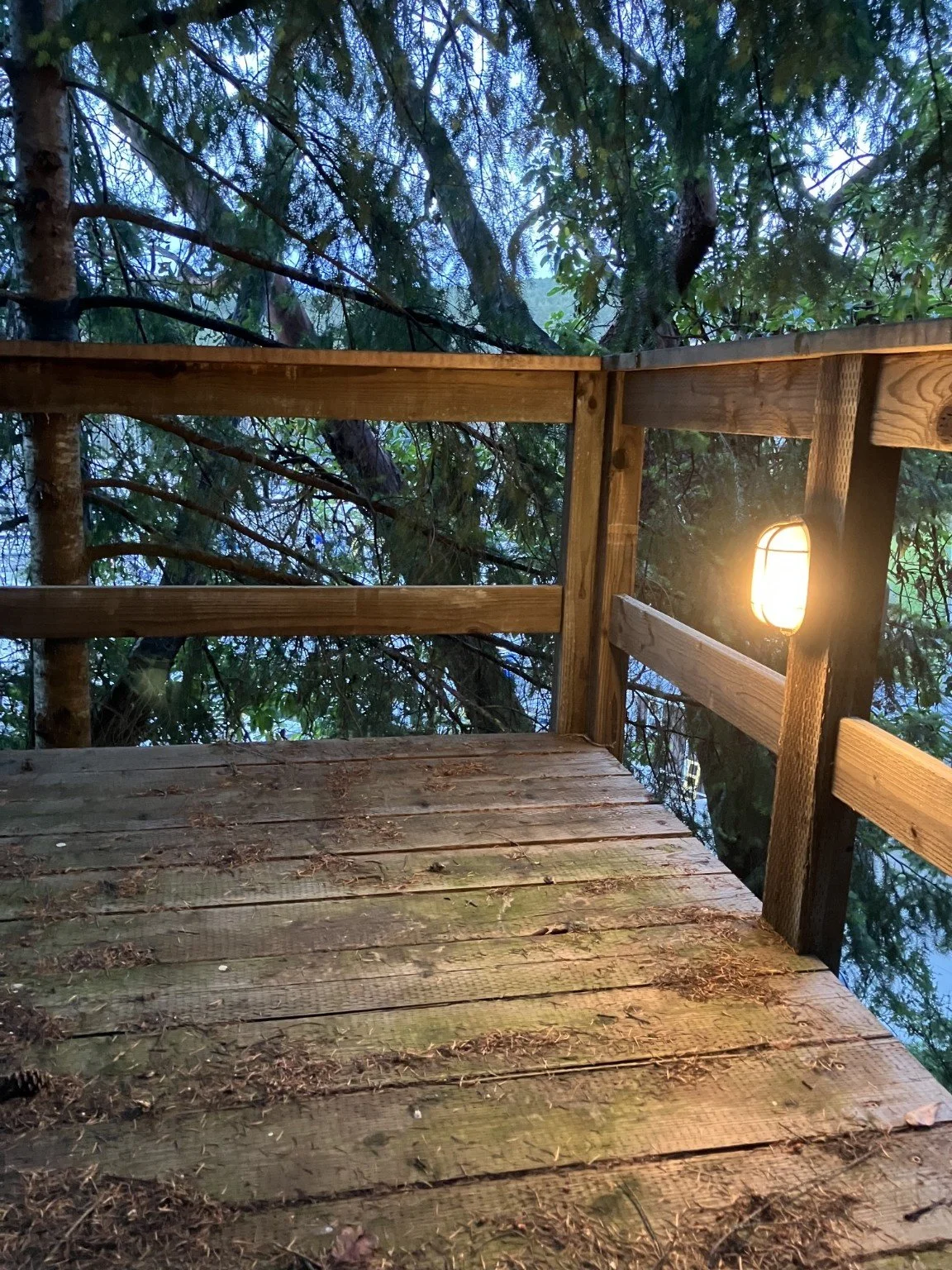 A wooden treehouse deck with a railing and a small enclosed light, surrounded by trees and foliage.