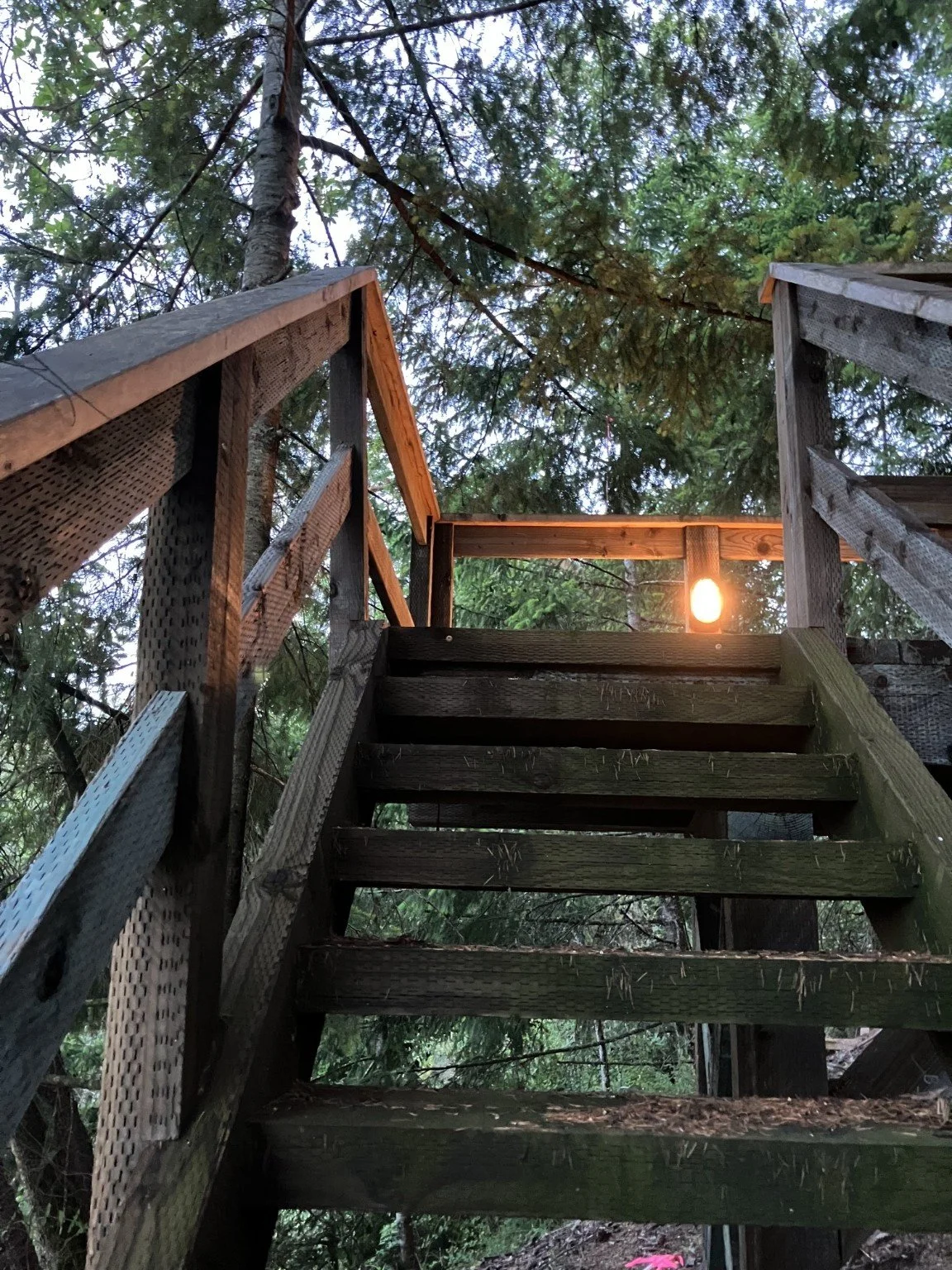 Wooden treehouse staircase leading up to a platform with a lightbulb, surrounded by trees in a forest.