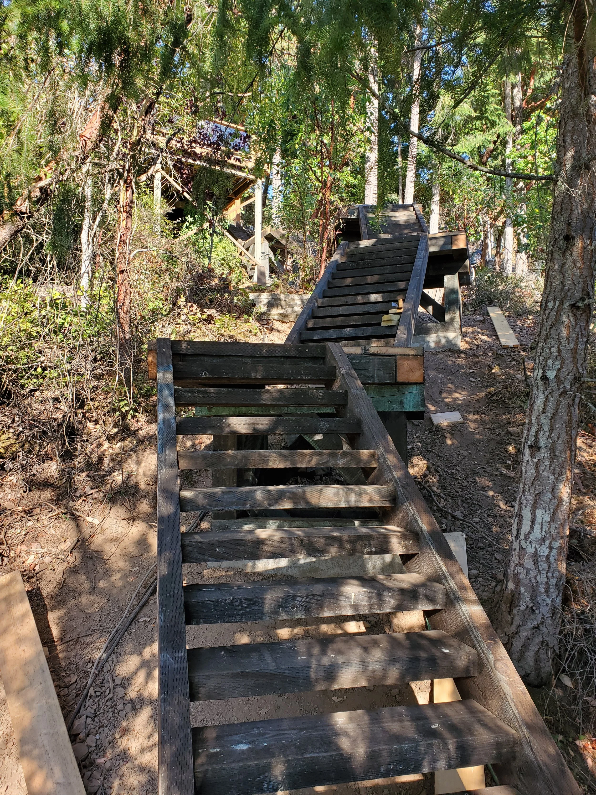 Wooden stairs leading up a forested hillside, surrounded by trees and bushes.