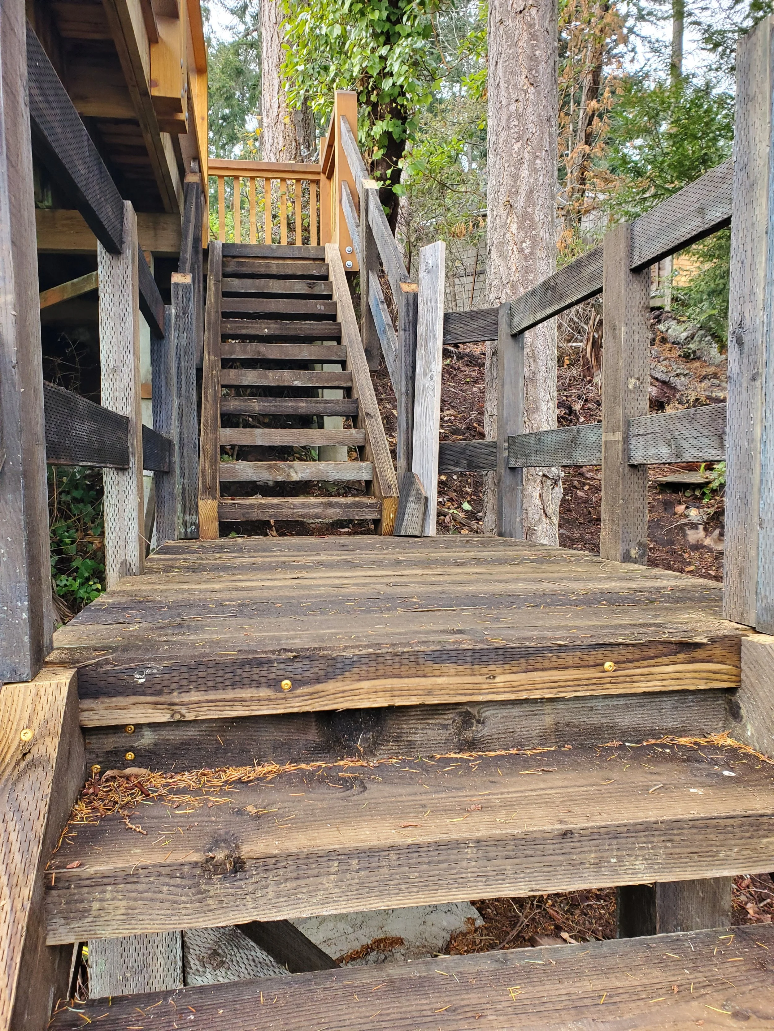 Wooden stairs leading up to a deck in a wooded area, with trees and foliage surrounding the scene.