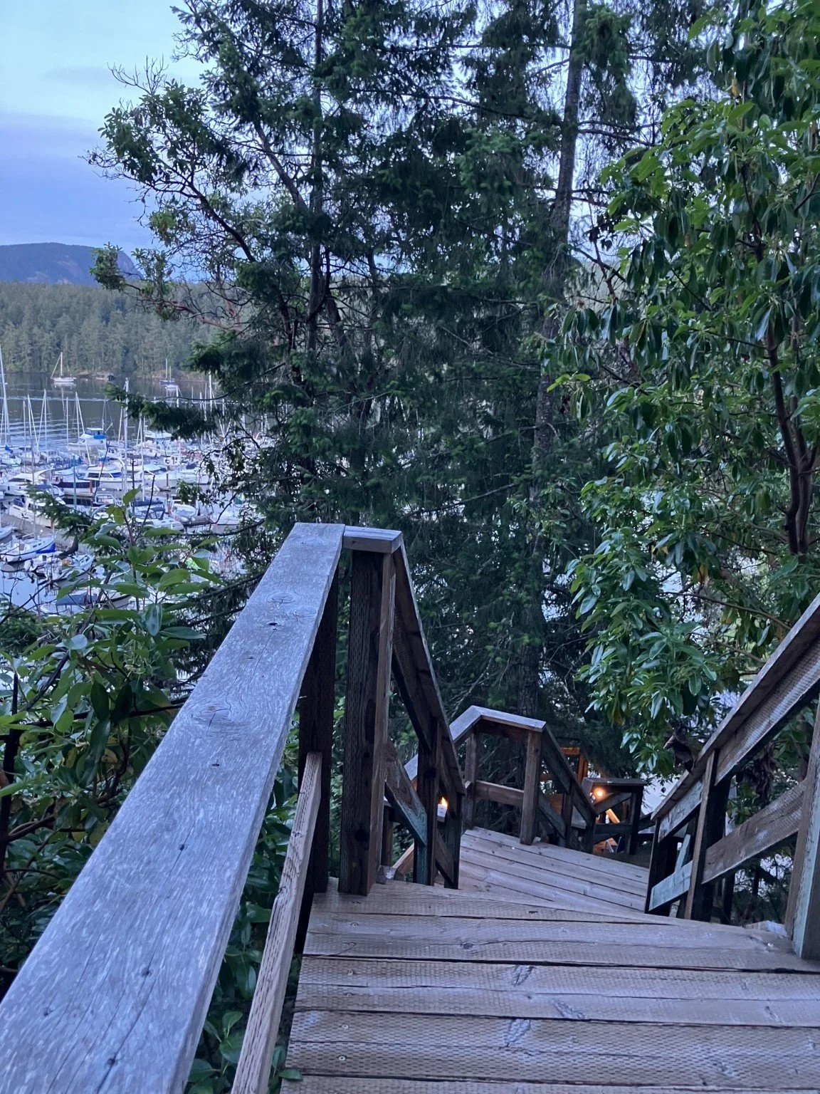 Wooden staircase leading down through trees towards a marina with boats and sailboats docked in the water, surrounded by forested hills.