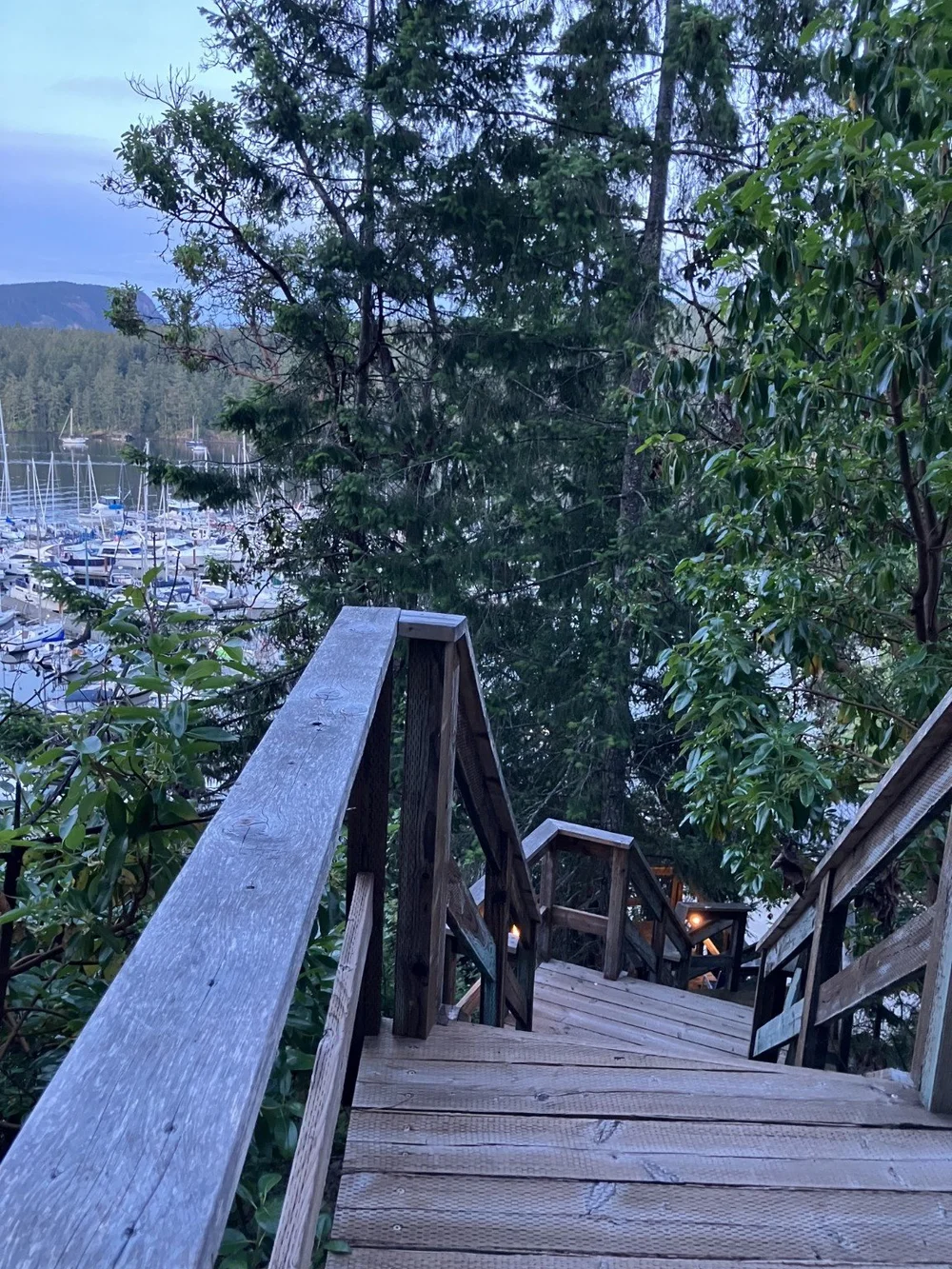 Waterfront timber staircase