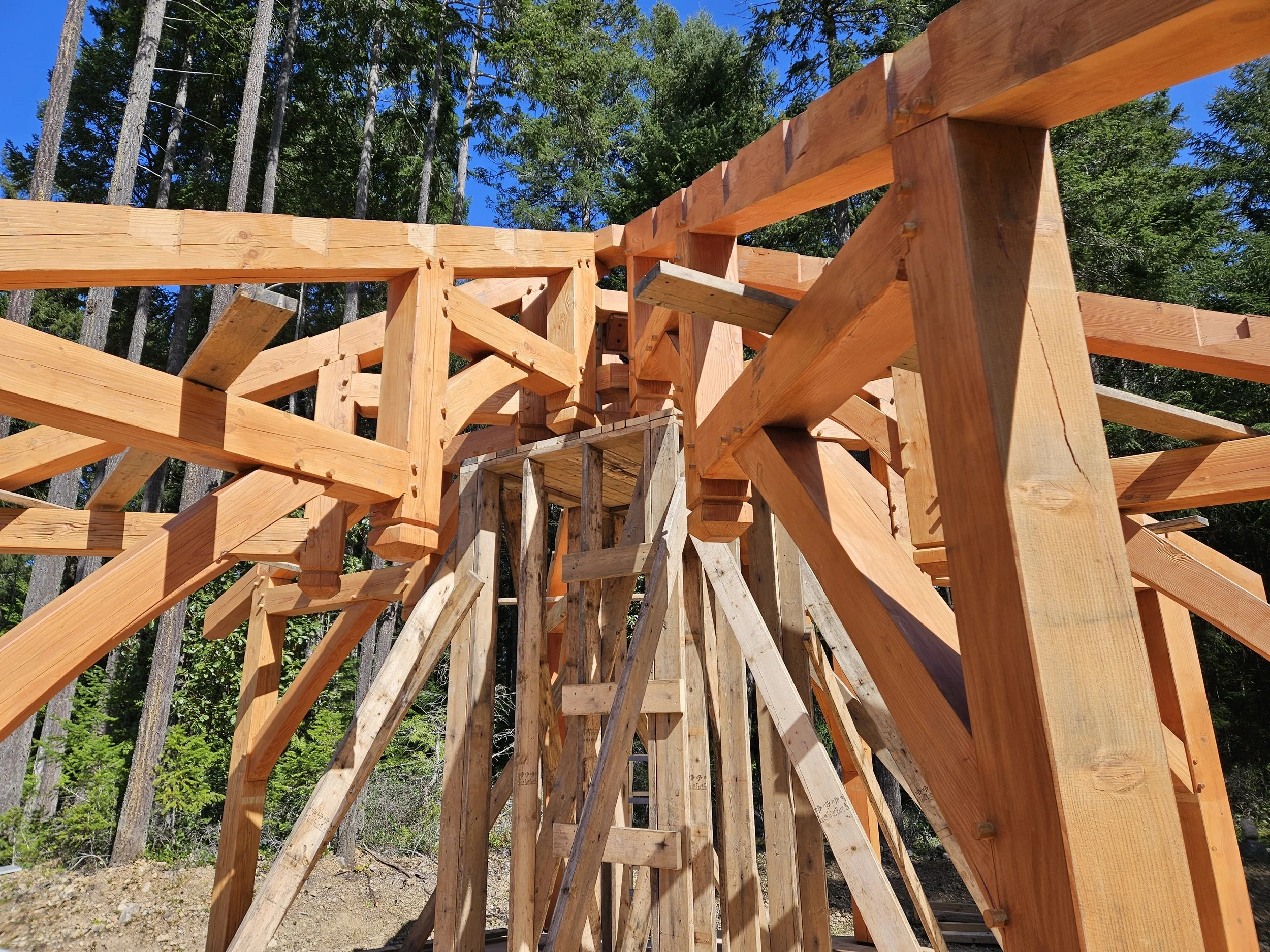 Wooden framing for a building under construction with trees and a blue sky in the background.