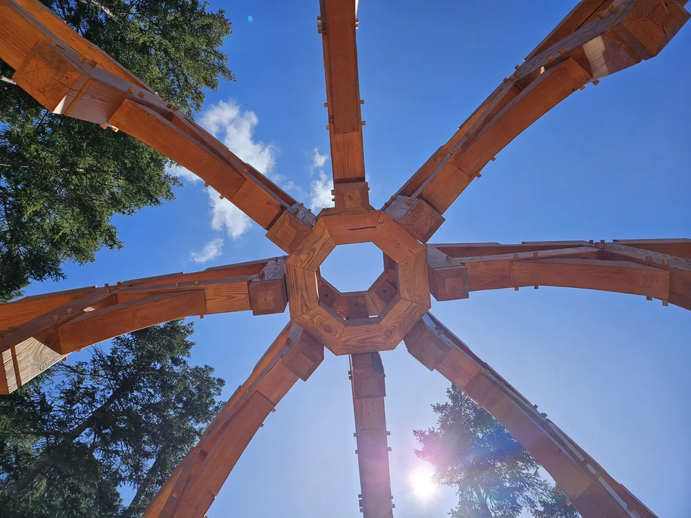 Timber pavilion framing on site