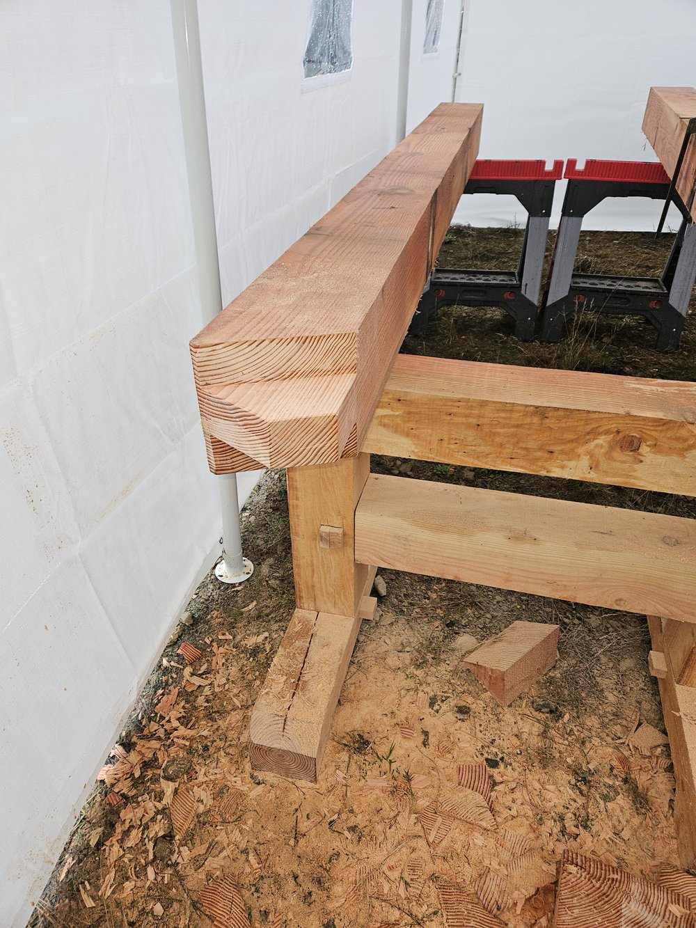 Timber pavilion structure