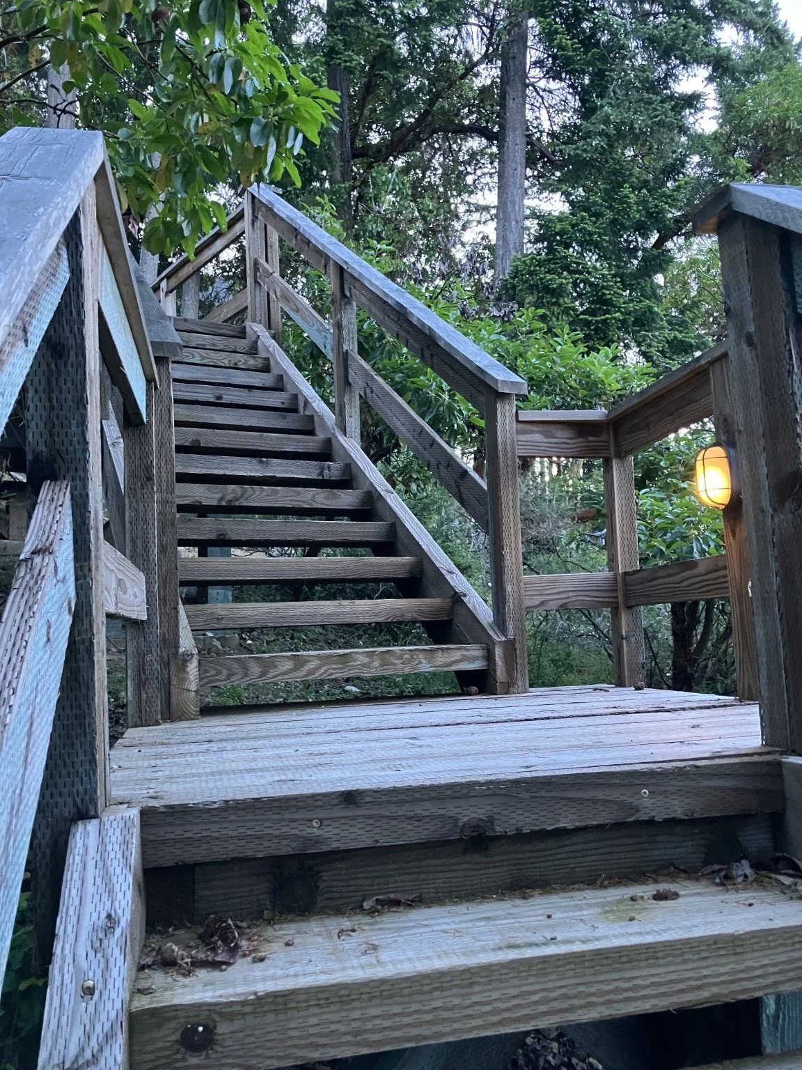 Wooden outdoor staircase with handrails, surrounded by trees and greenery, with a yellow outdoor light on the right side.