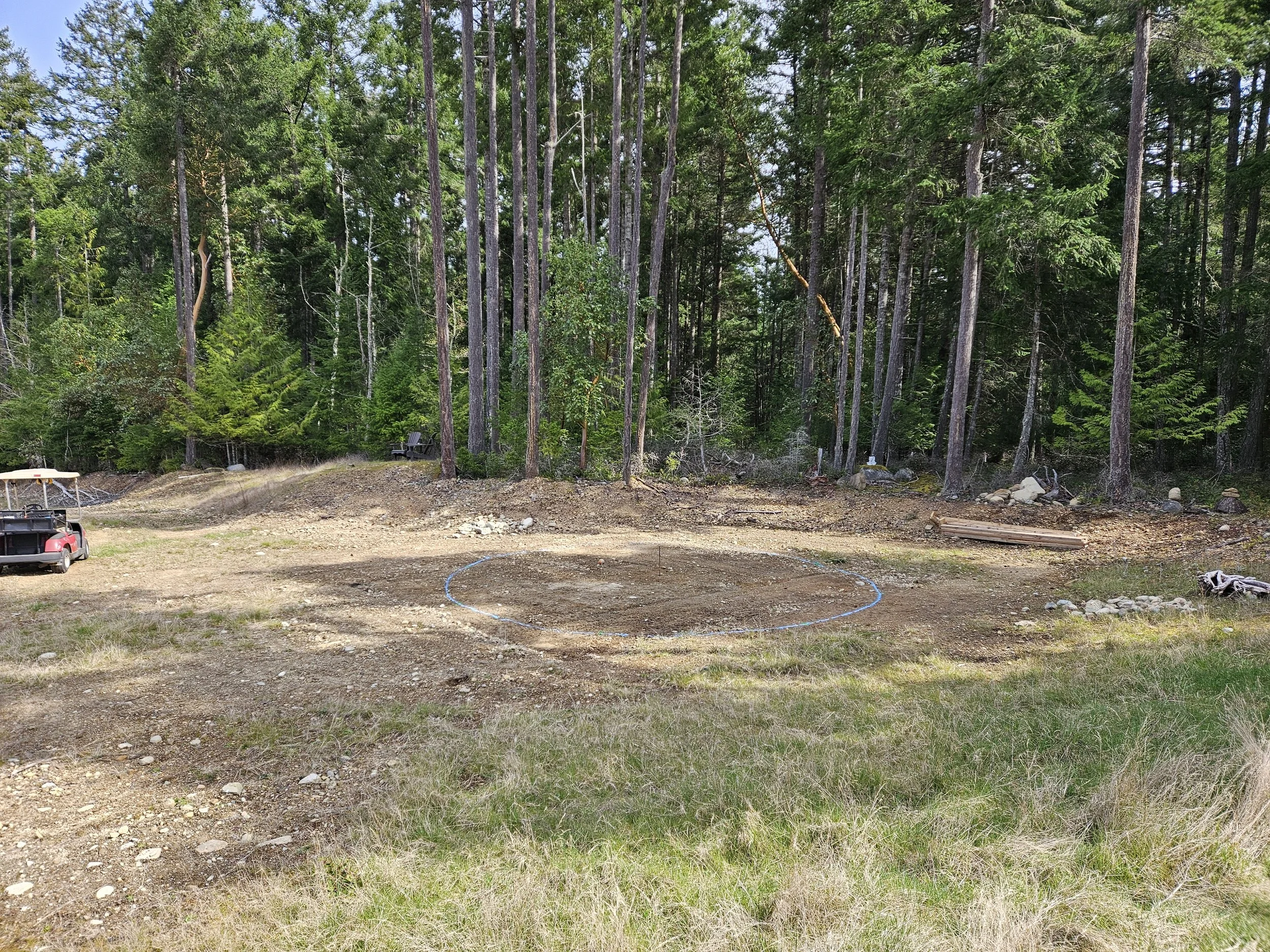 A cleared dirt area with a blue circle outline on the ground and a golf cart on the left side. In the background, a dense forest of tall green trees.