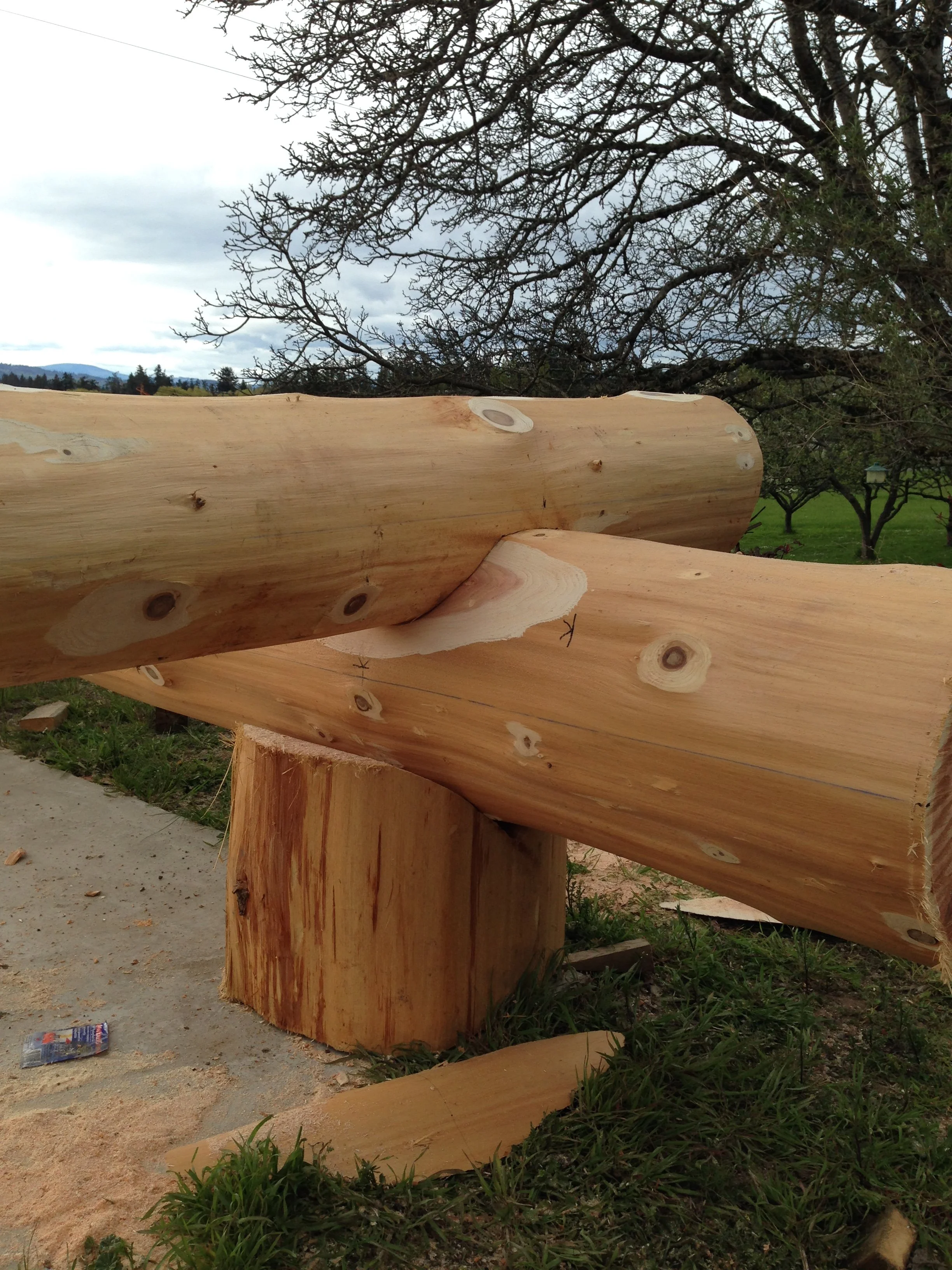 Close-up of large cut logs stacked in an outdoor setting with overcast sky and leafless trees in the background.