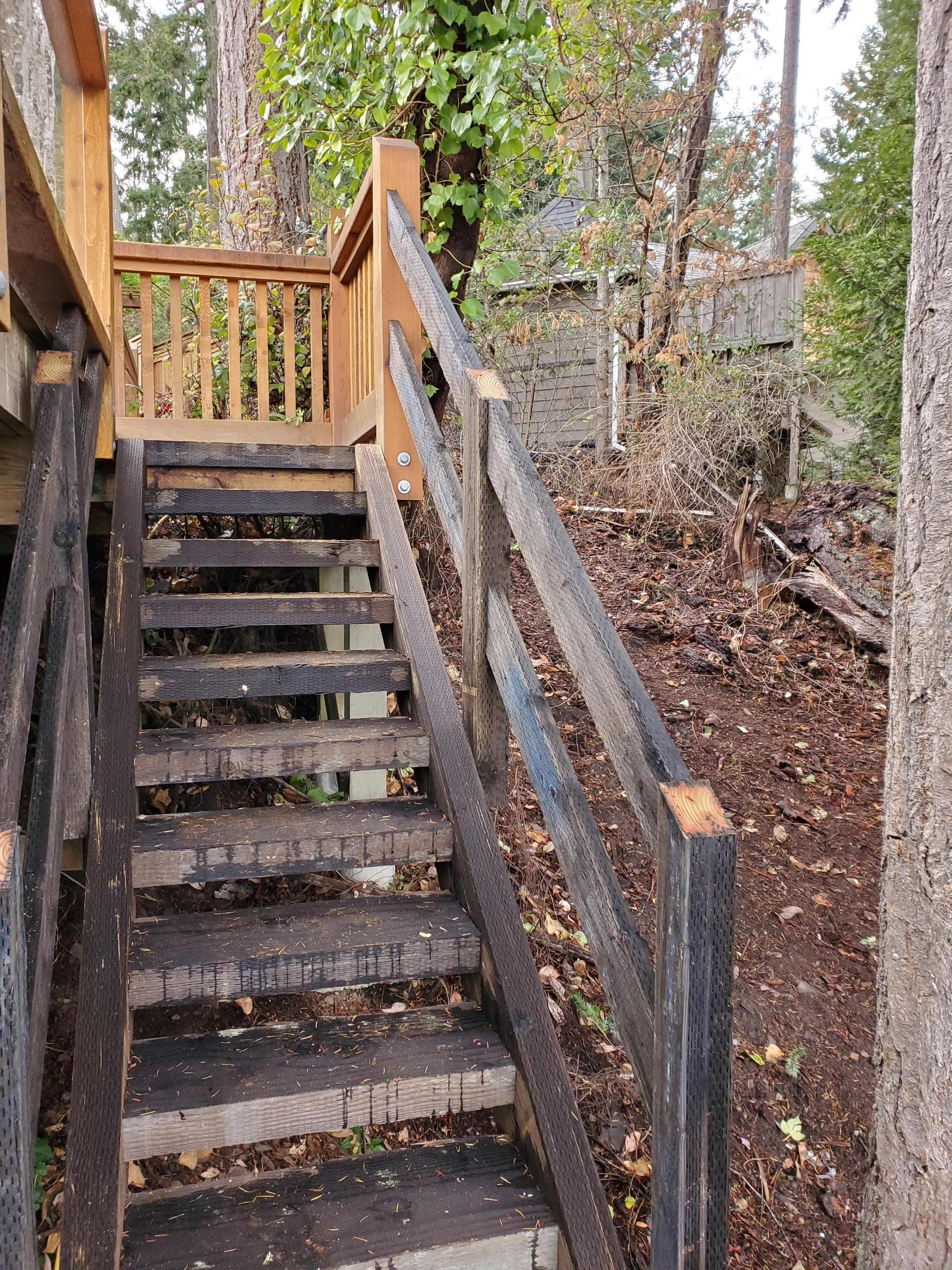 Wooden staircase with handrails leading up to a deck in a backyard, surrounded by trees and dry leaves on the ground.