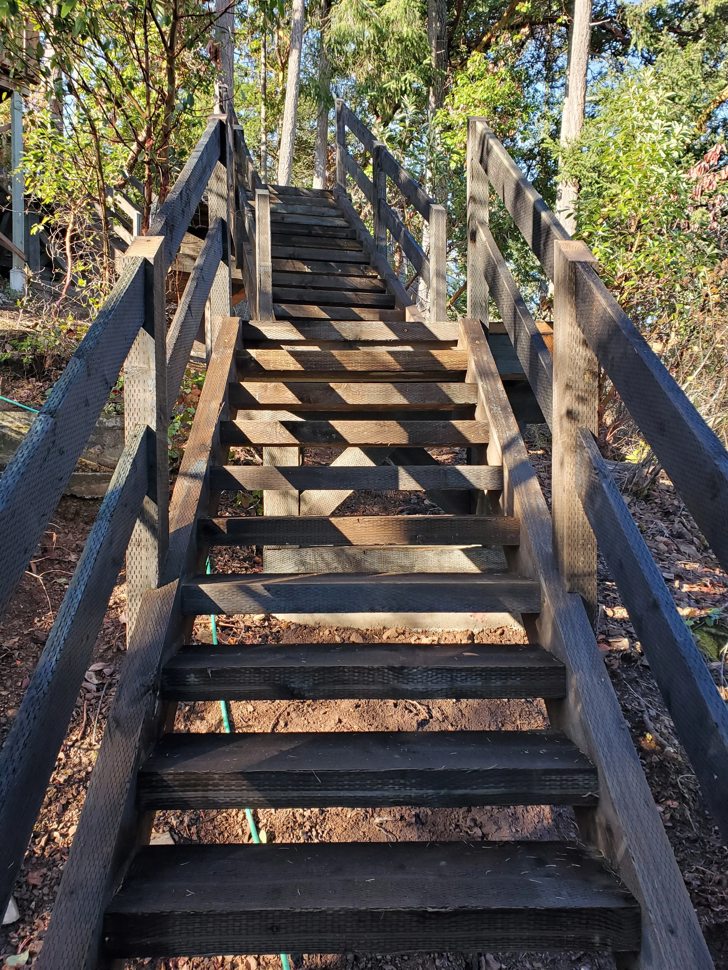 Wooden stairs leading upward through a wooded area with trees and green leaves on either side, sunlight creating shadows on the steps.