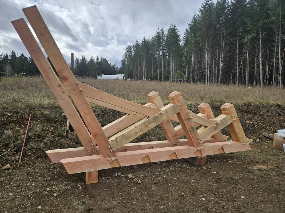 Pavilion structure on site